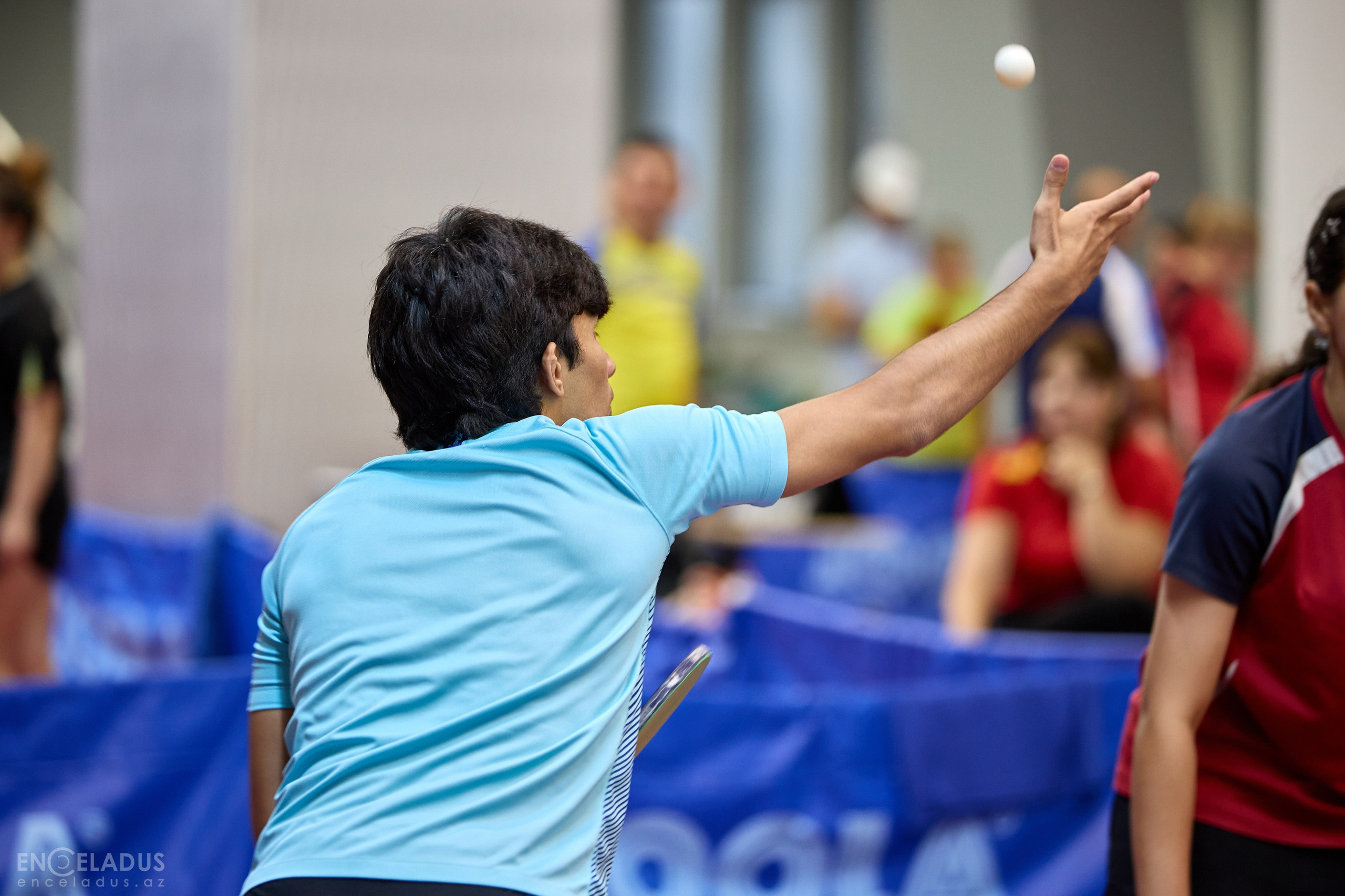Table Tennis. Mix Tournament. Фотограф в Баку Kamran Enceladus