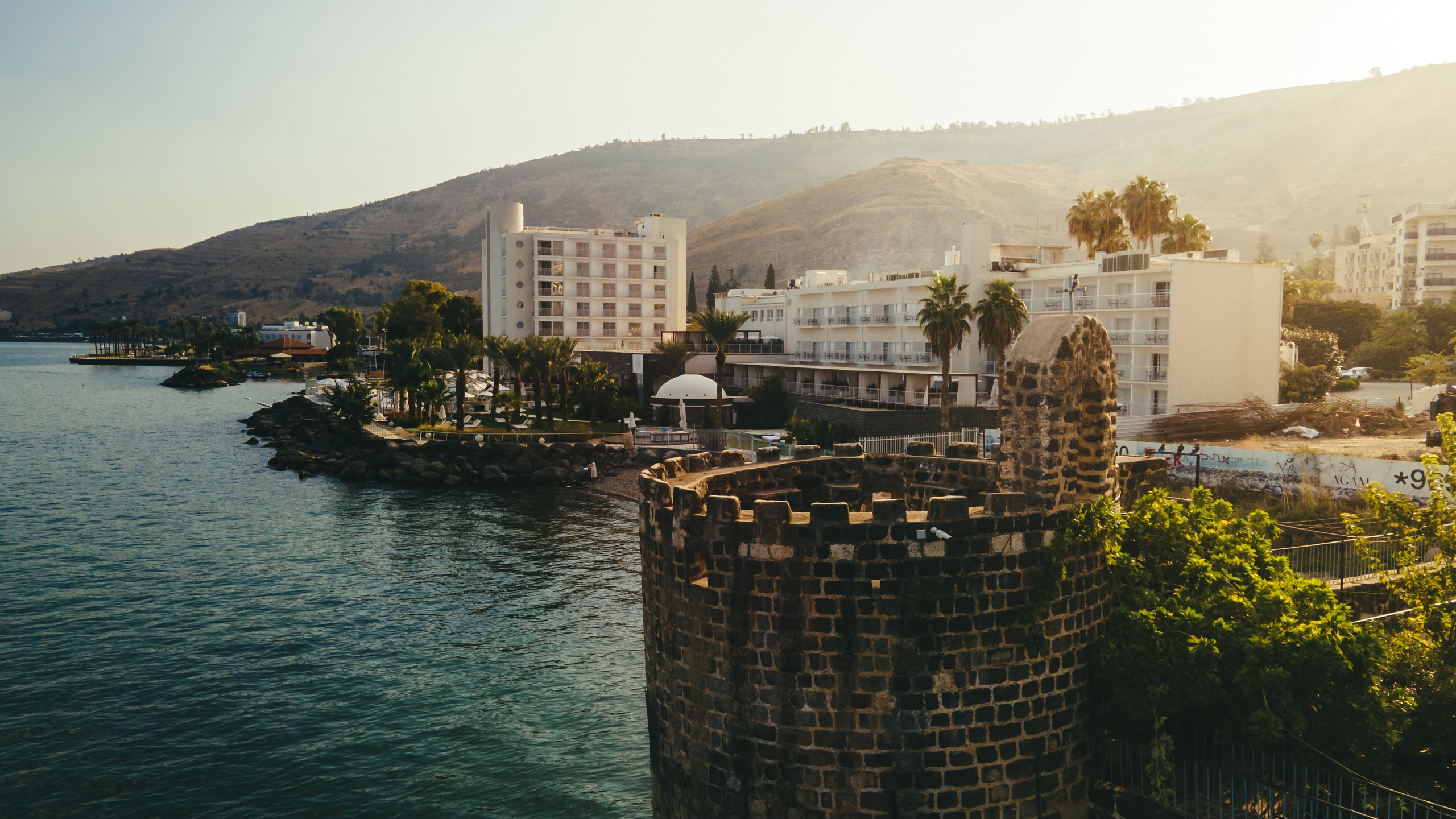 זרעי גדרה — SYNGENTA. AMIR BUCHNIK PHOTOGRAPHER