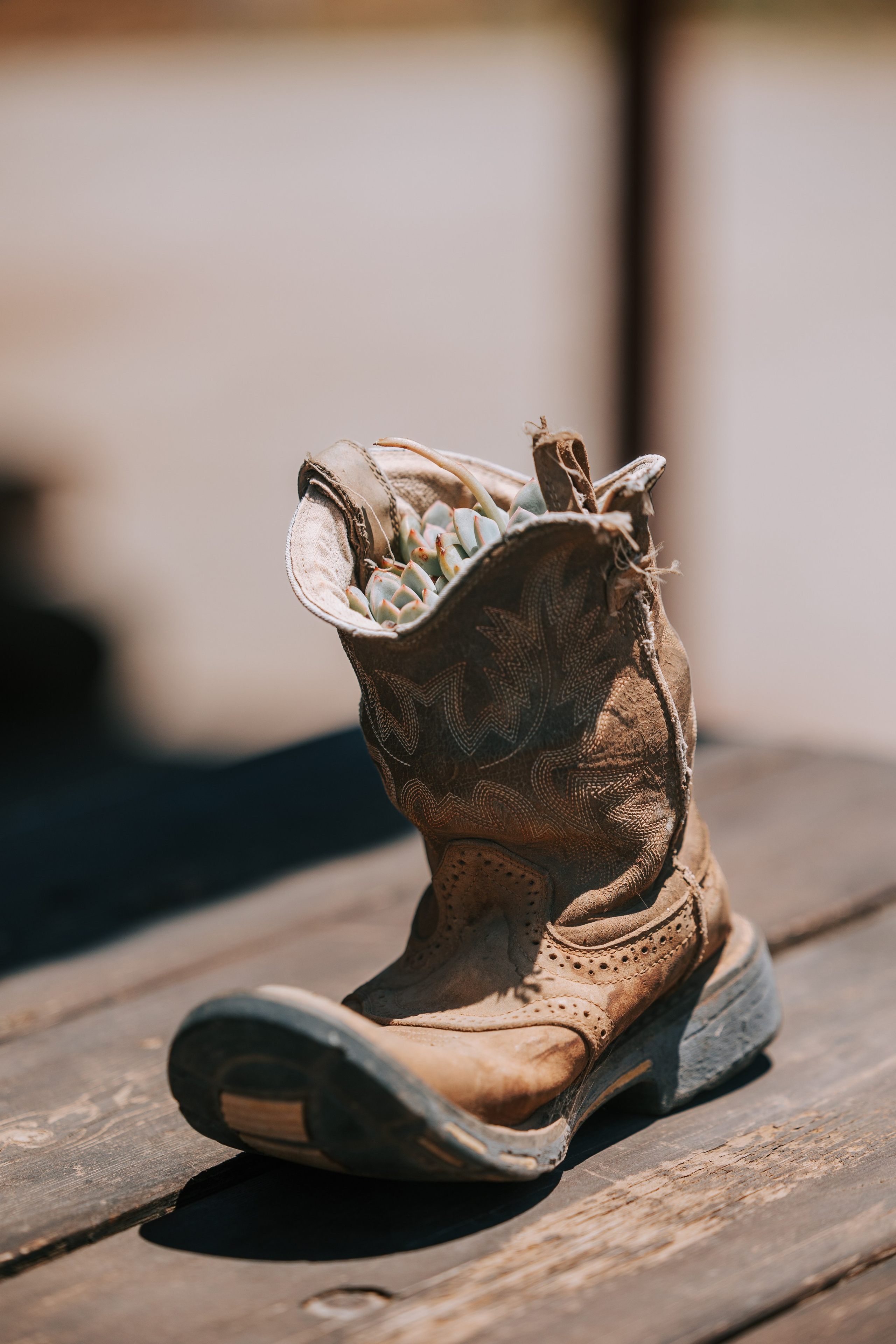 Omar & Nimrod. AMIR BUCHNIK PHOTOGRAPHER