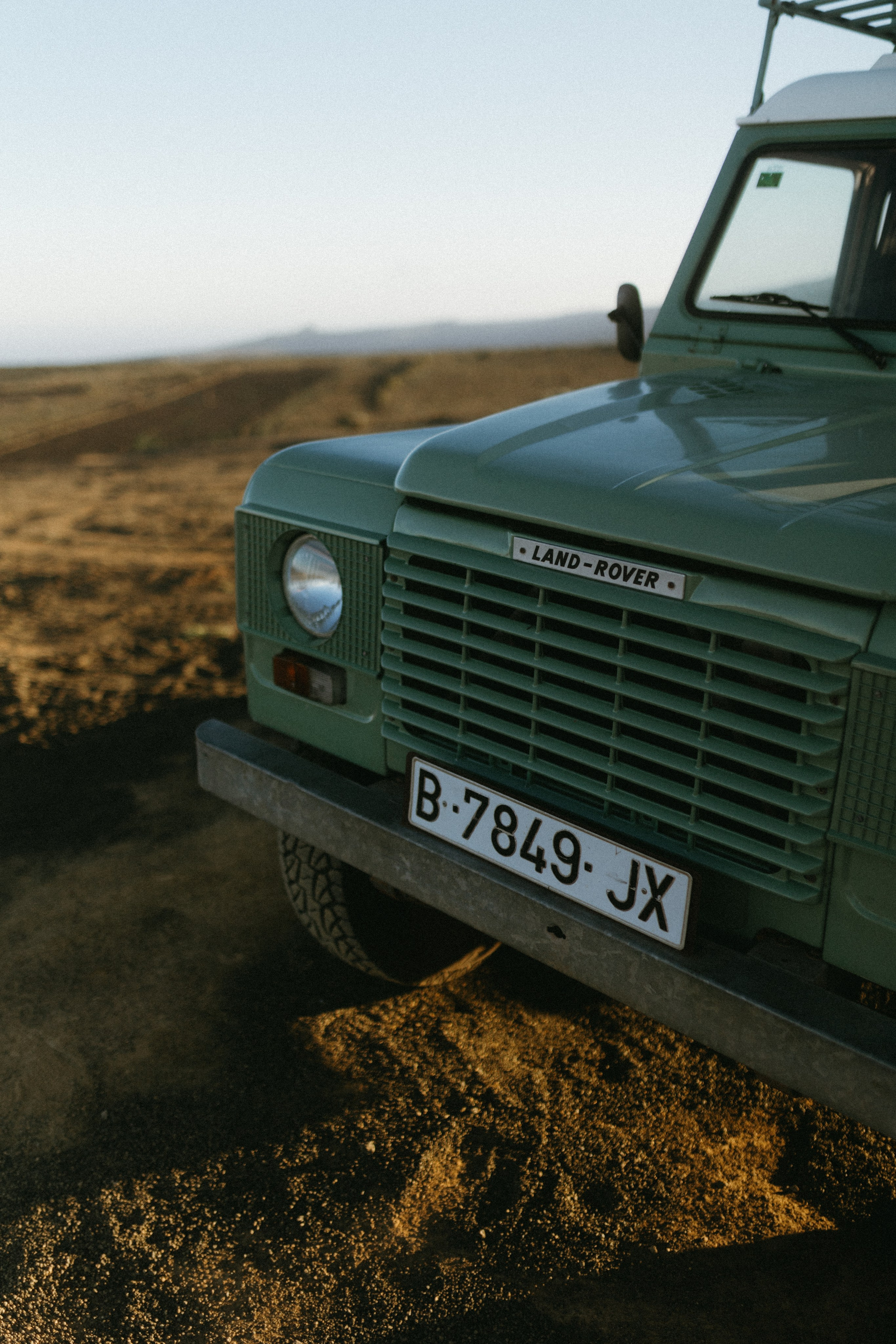 Lanzarote Turtles Van. Patricia Morenci — Mountain Adventures for the Wild at Heart