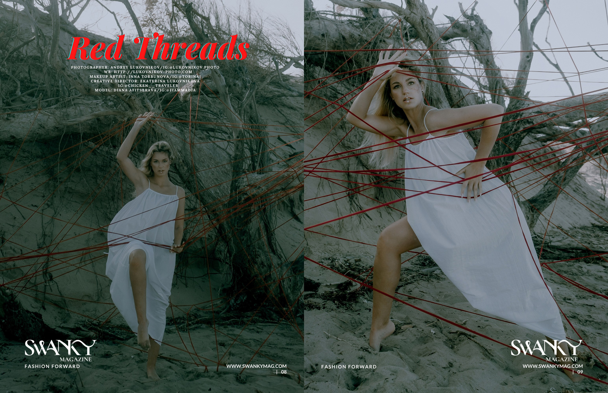 Swanky Magazine #19.3