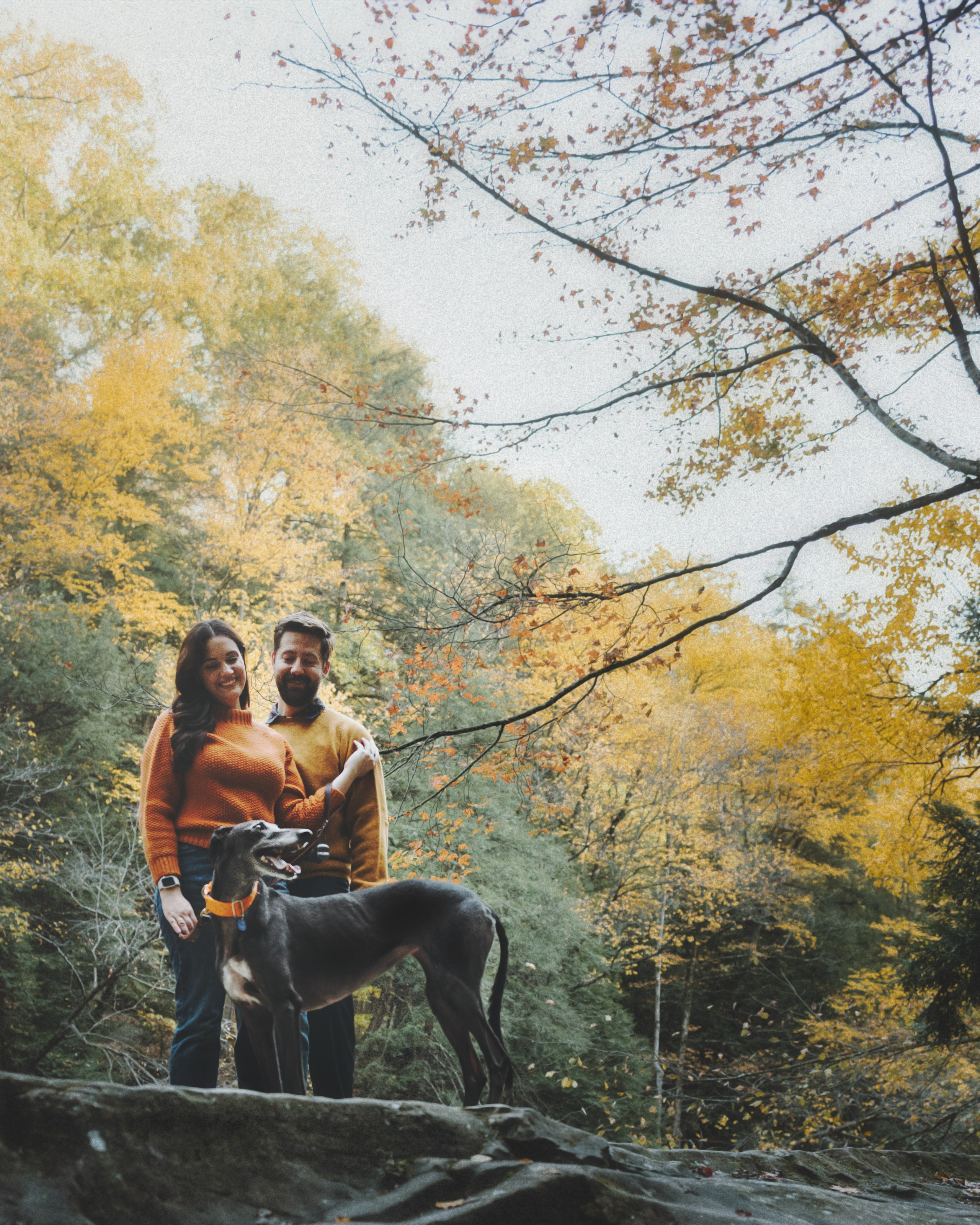 Tilly, Kati & Landon. Pet Photographer Viktoriya Aleshenko