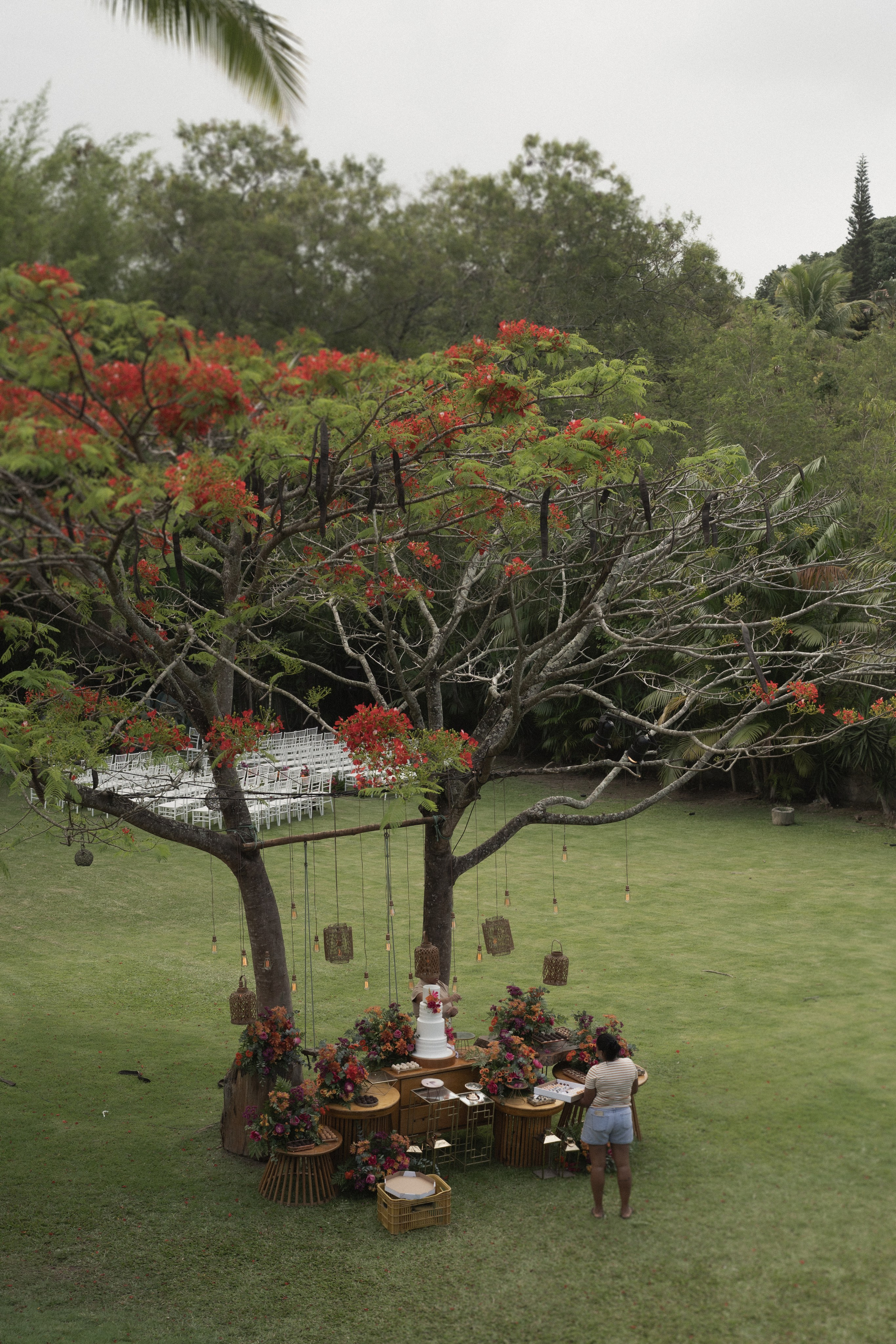 Portfólio. Lembrar não é só ver. É sentir de novo