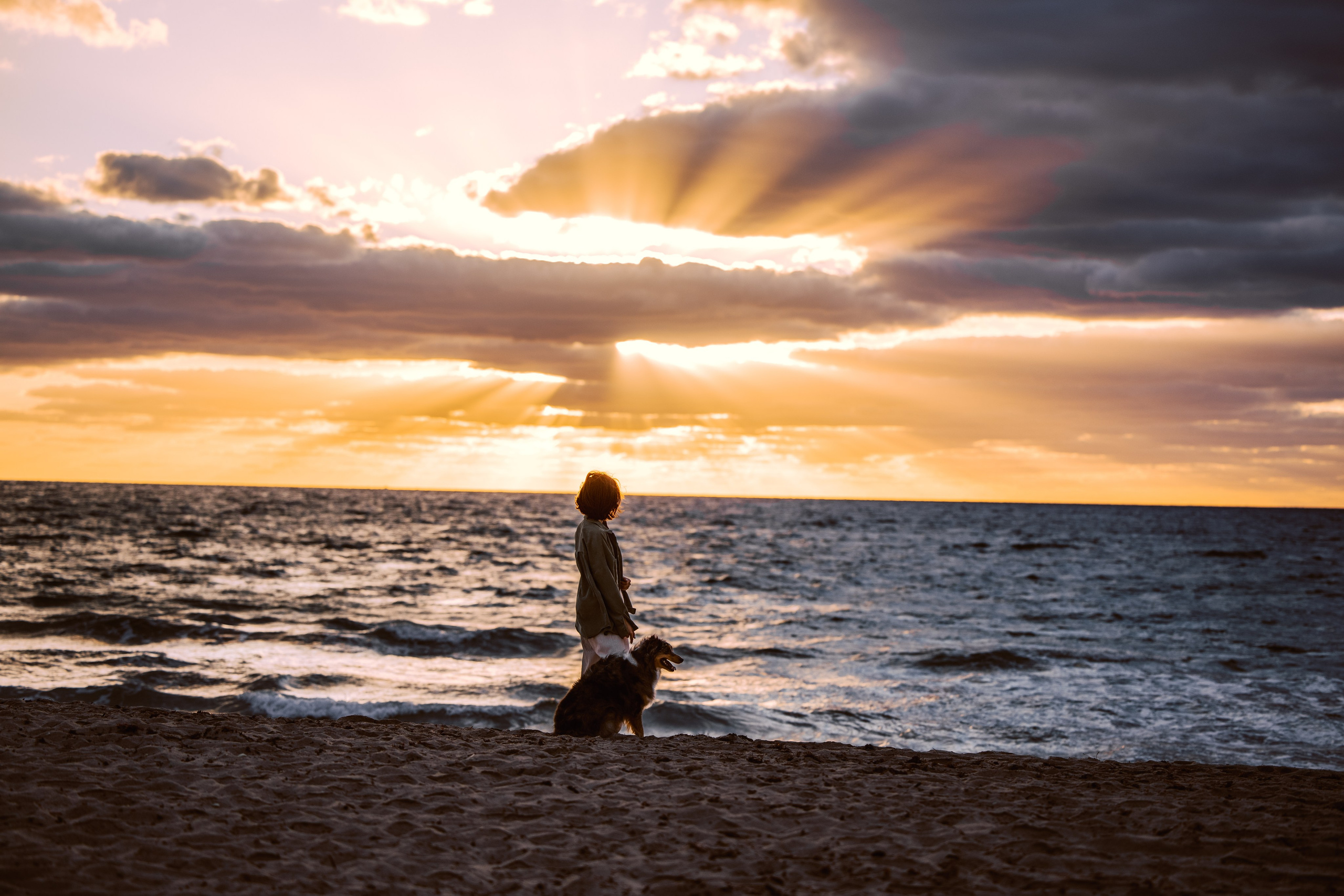 Lou & Eliya. Pet Photographer Viktoriya Aleshenko