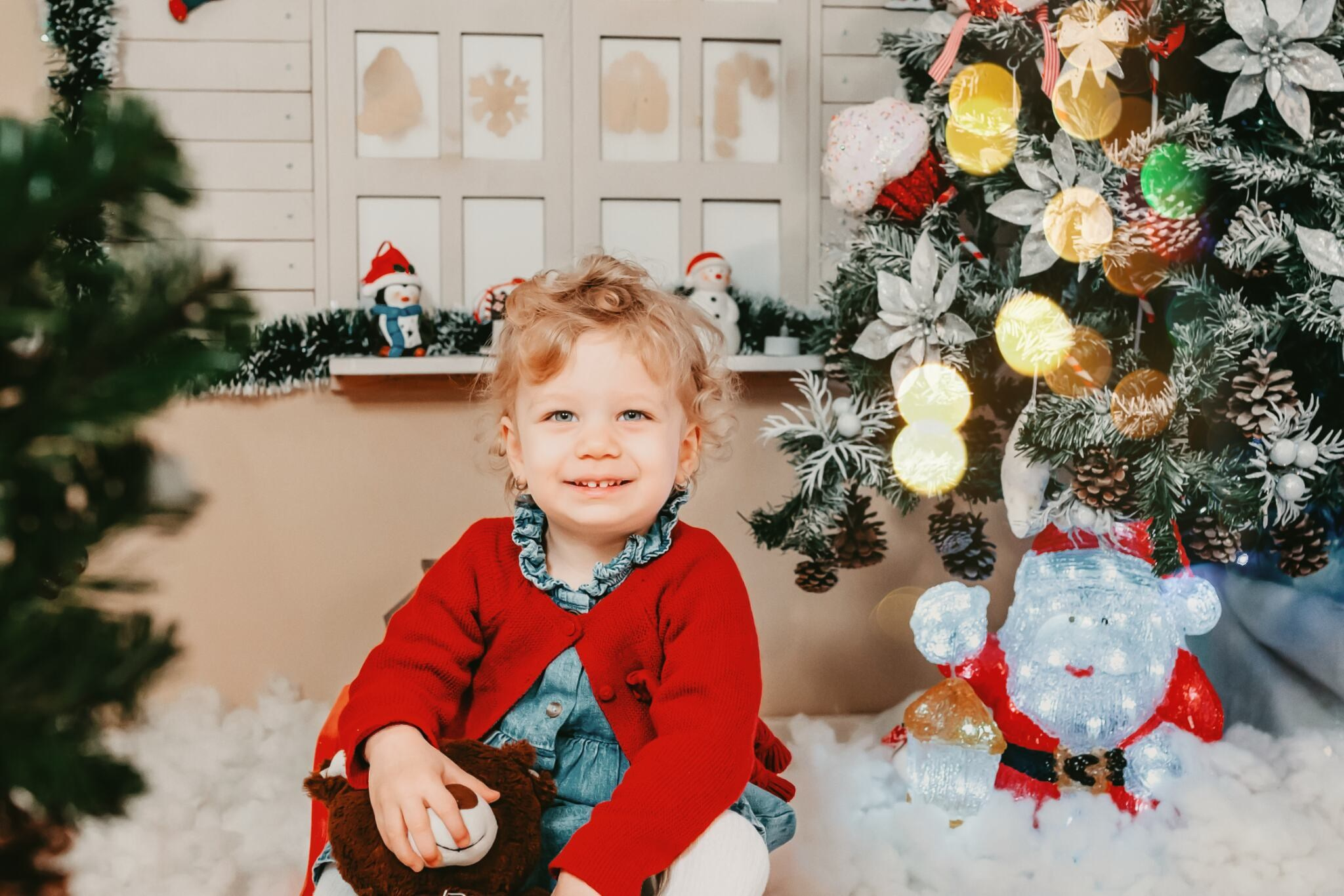 Sedinta Craciun Lucian