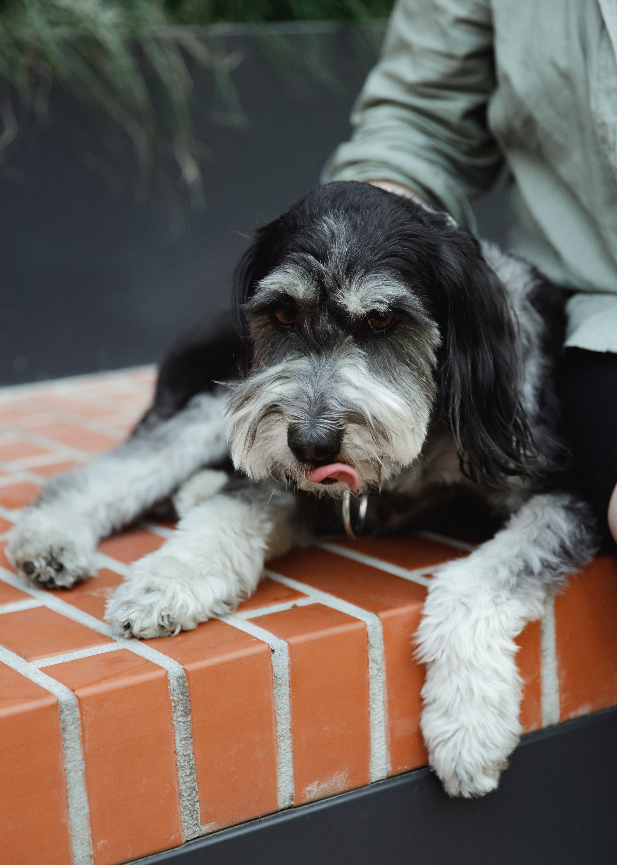 Lera & Flora. Kaja | fotograf we Wrocławiu | ludzie i psy