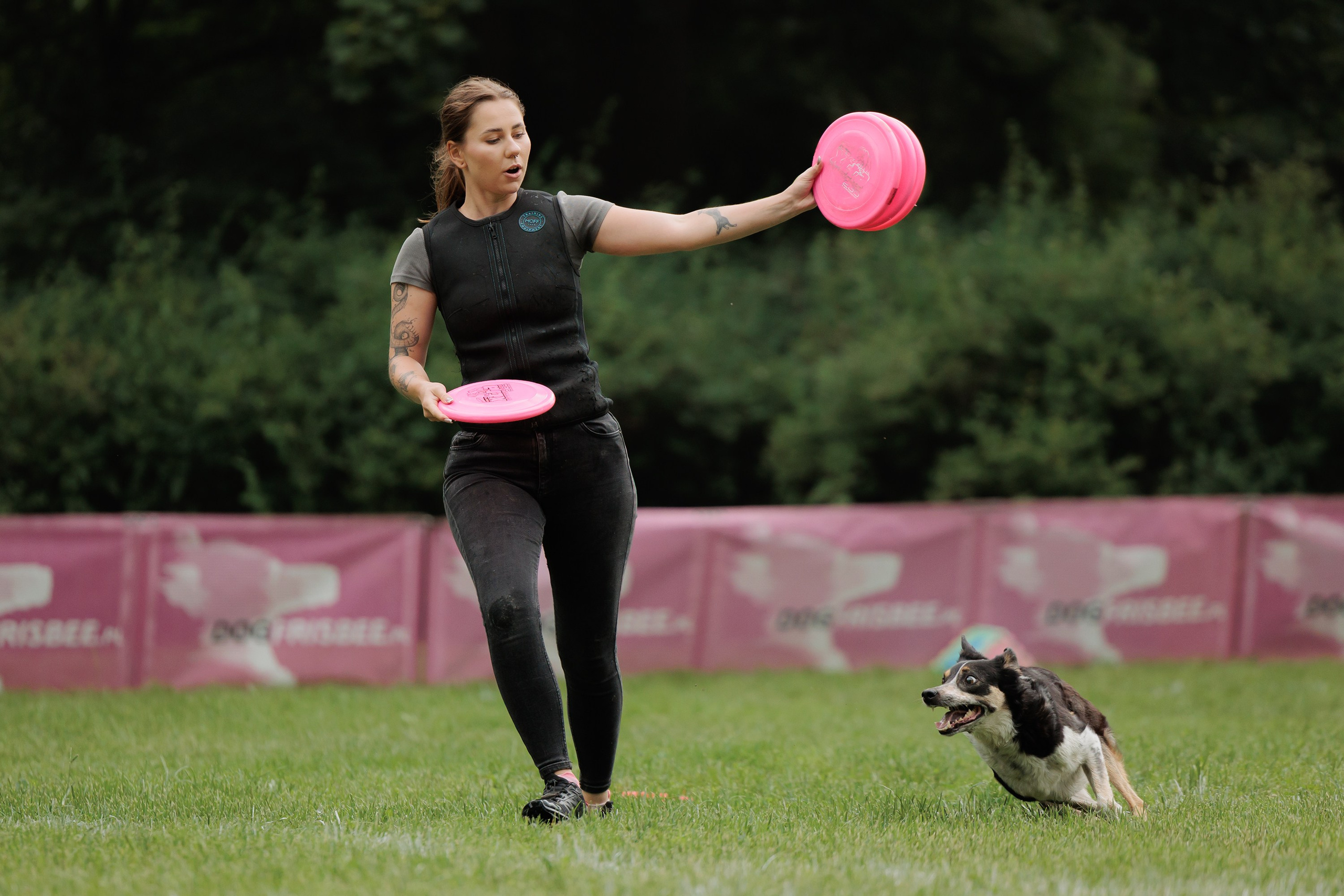 Latające psy, Wrocław'25. Kaja | fotograf psów we Wrocławiu