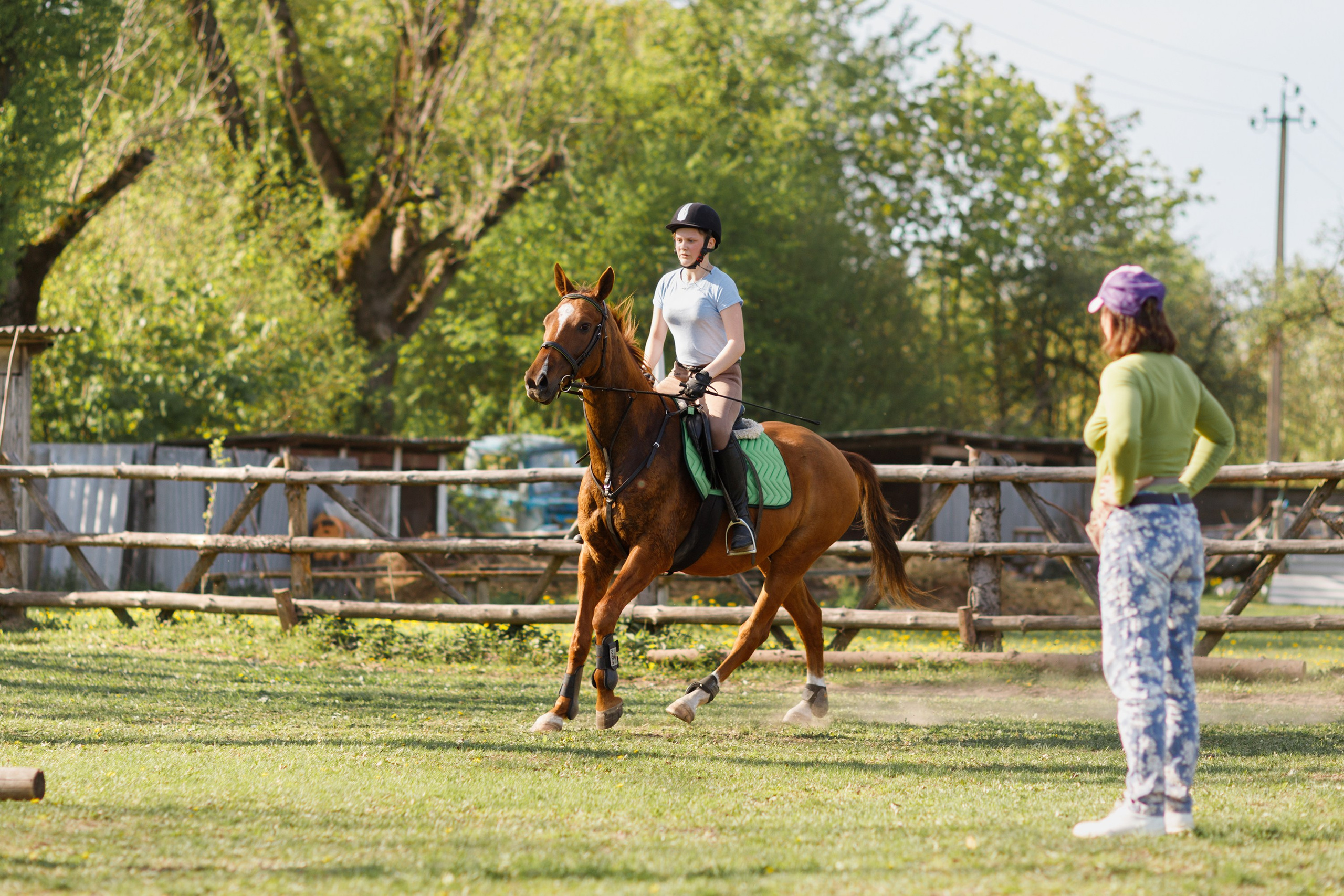 Girls & horses, summer. Kaja | fotograf psów we Wrocławiu
