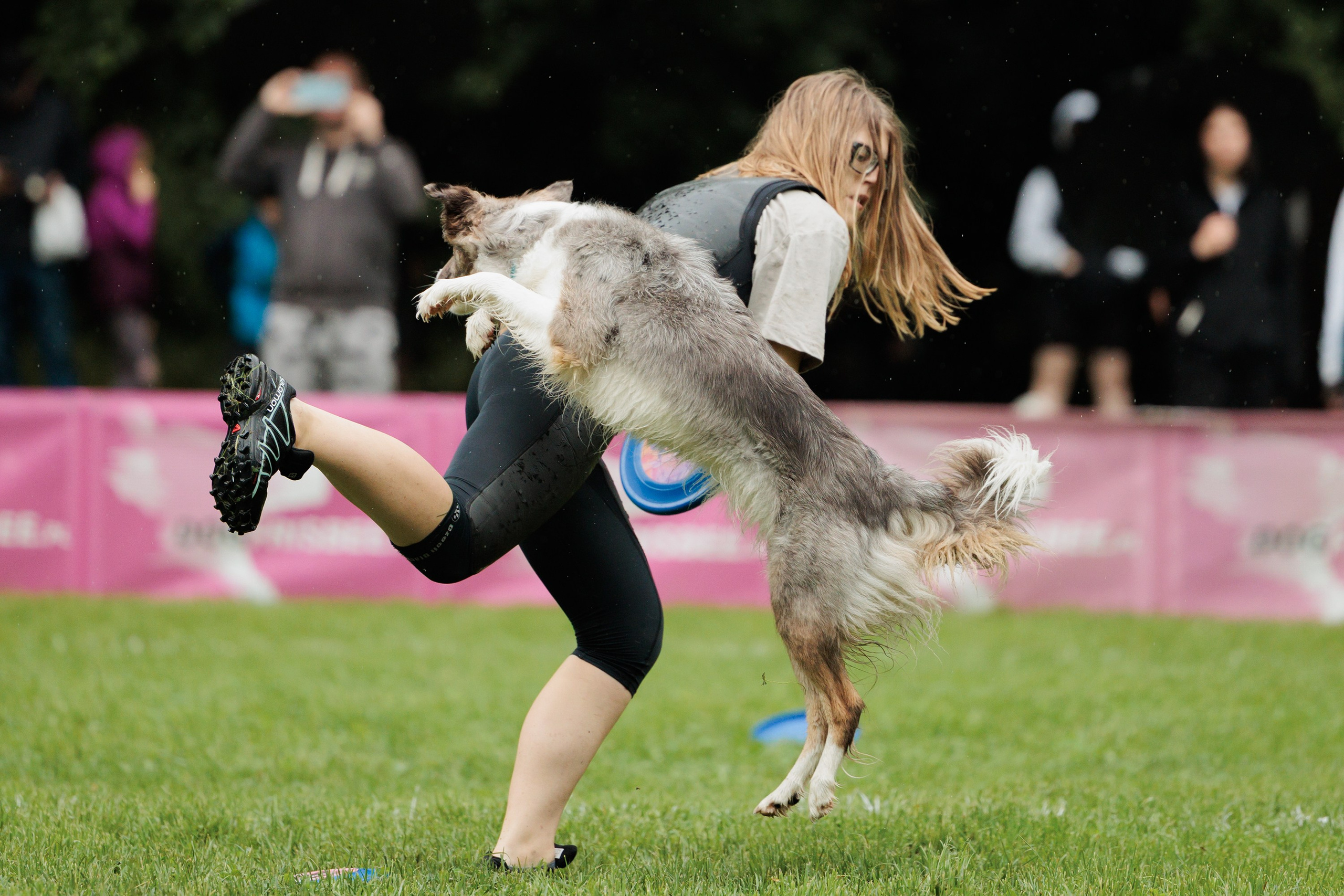 Latające psy, Wrocław'25. Kaja | fotograf psów we Wrocławiu