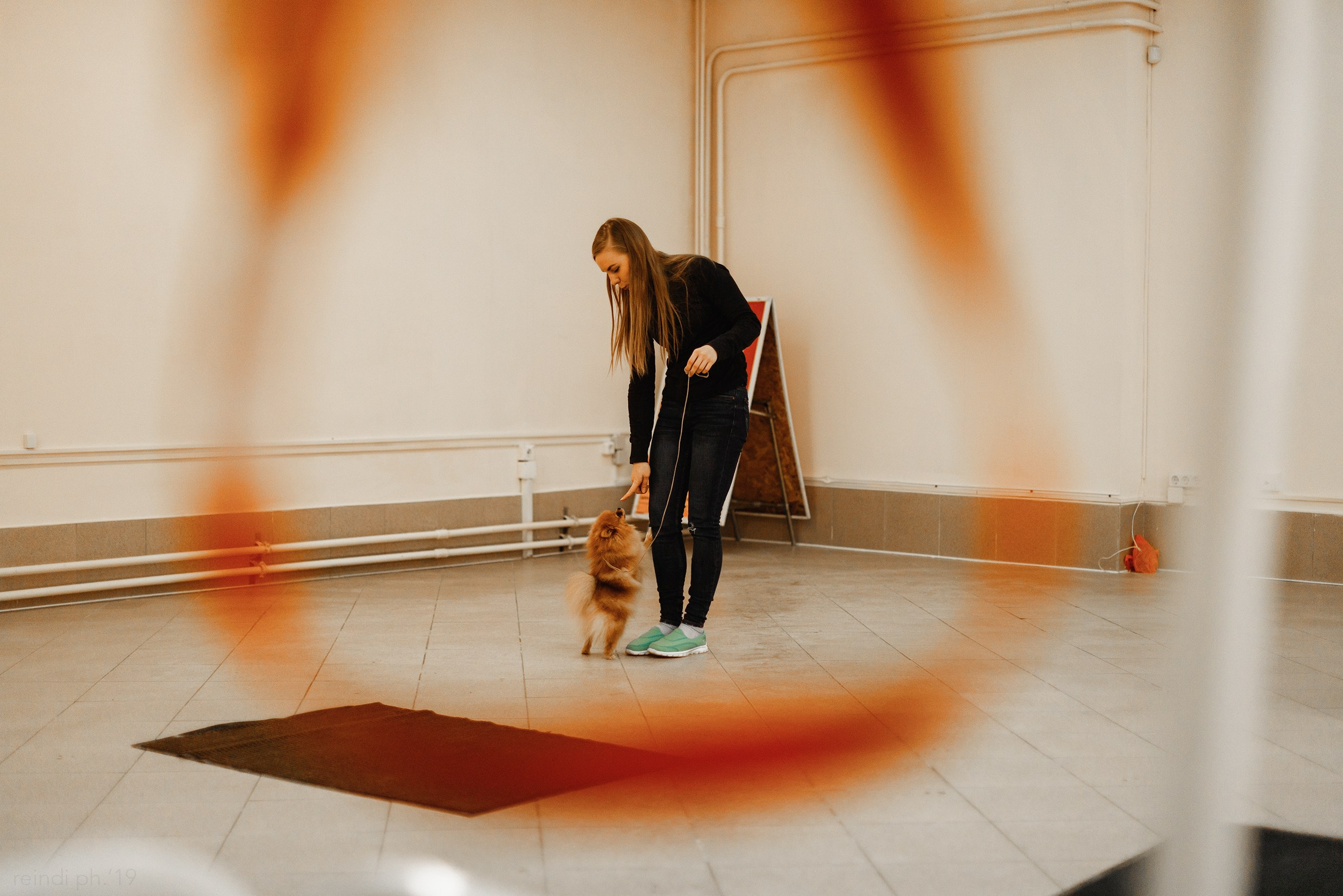 Dog handling hall. Kaja | fotograf we Wrocławiu | ludzie i psy