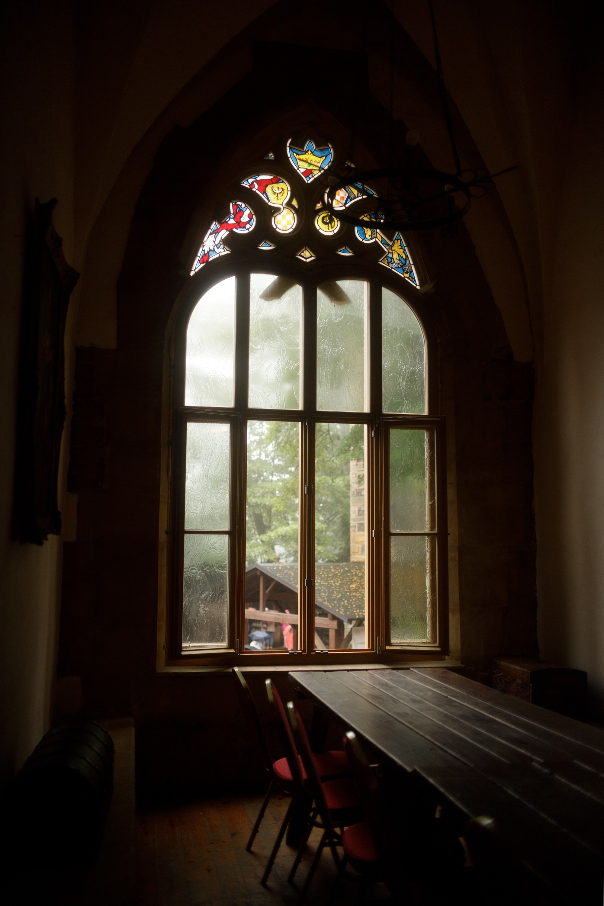 Zamek Grodziec. Kaja | fotograf psów we Wrocławiu