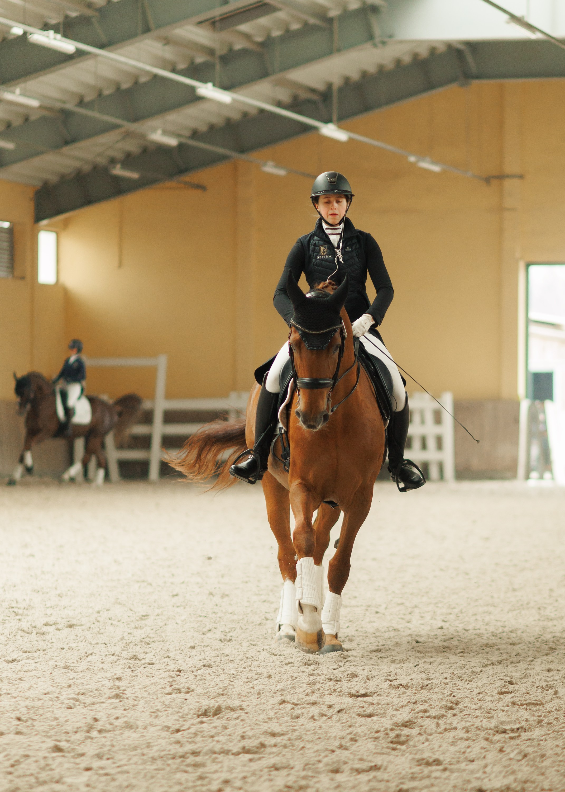 Partynice dressage \ feb'25. Kaja | fotograf we Wrocławiu | ludzie i psy