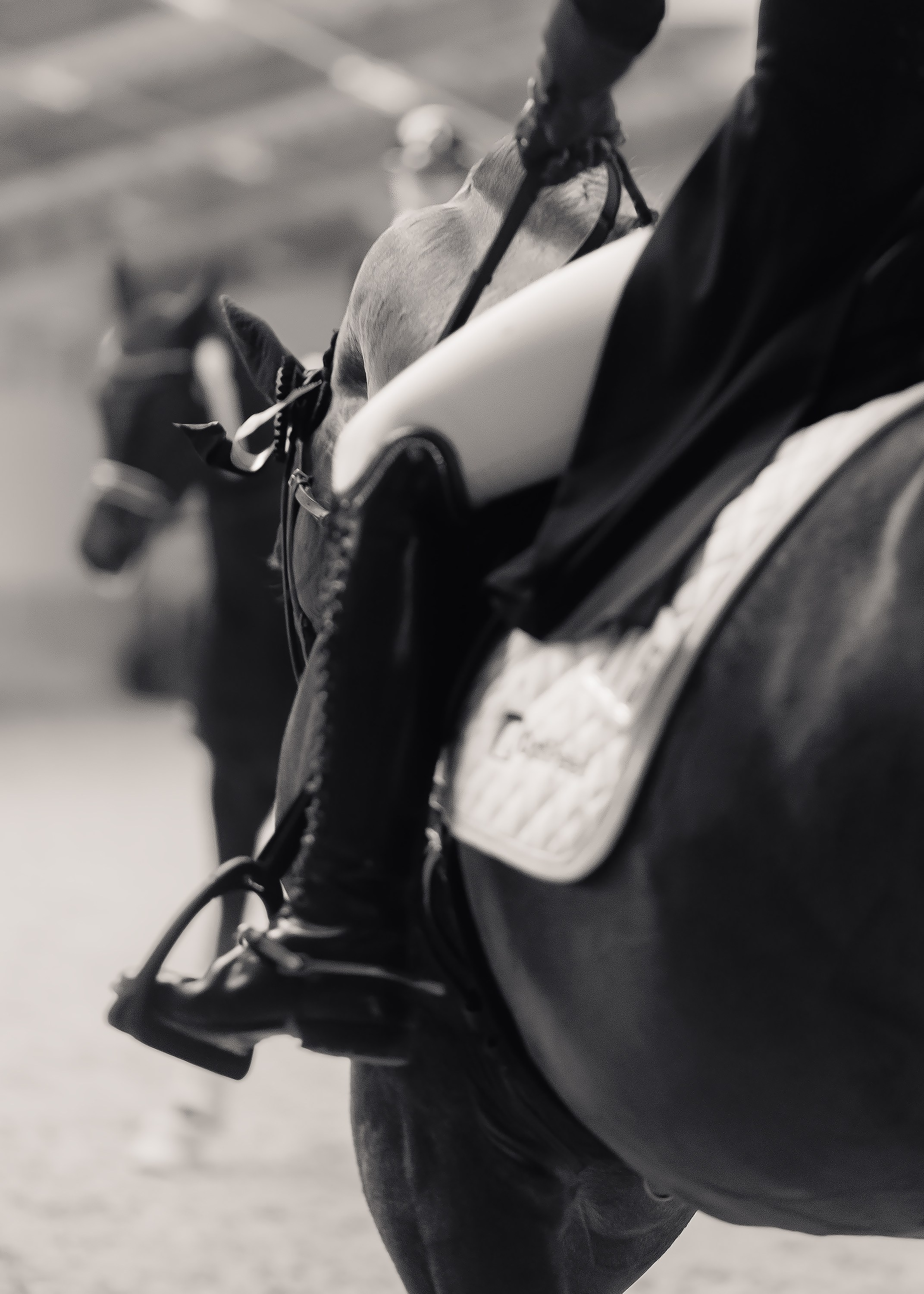 Partynice dressage \ feb'25. Kaja | fotograf we Wrocławiu | ludzie i psy