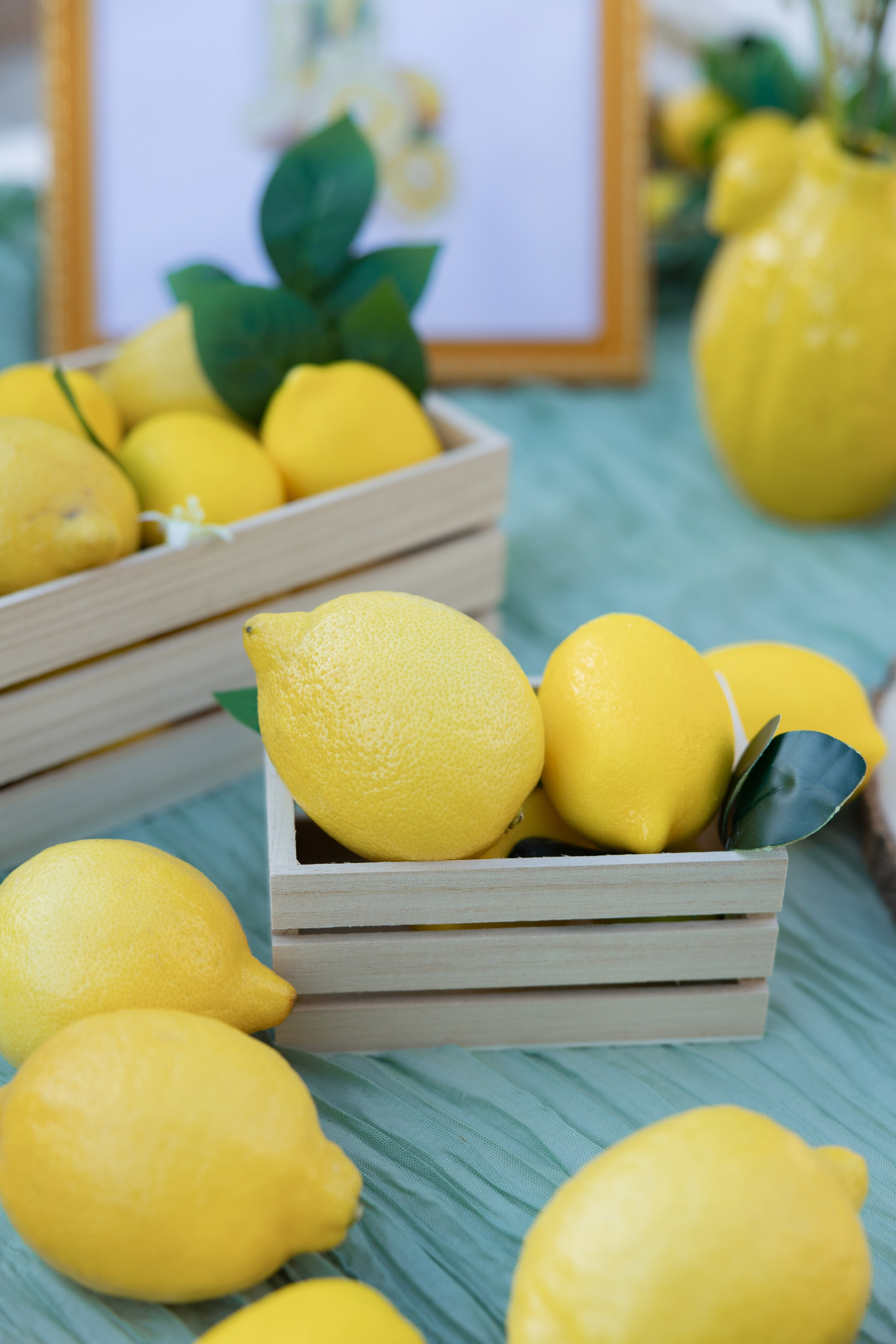 Yasminne & Mamoun, Château de Bonaventure