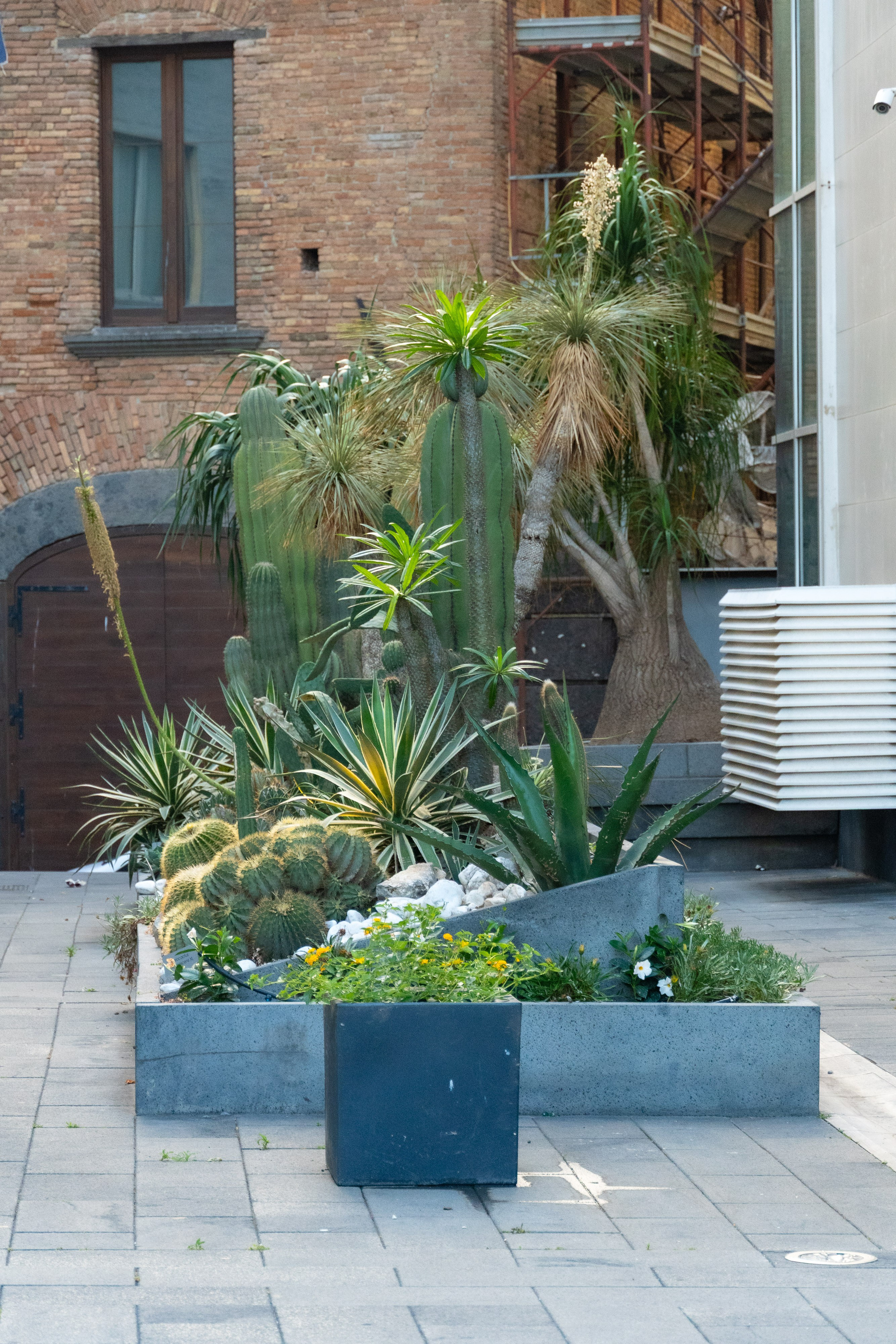 Napoli 2025. Fotografiideplacere.net