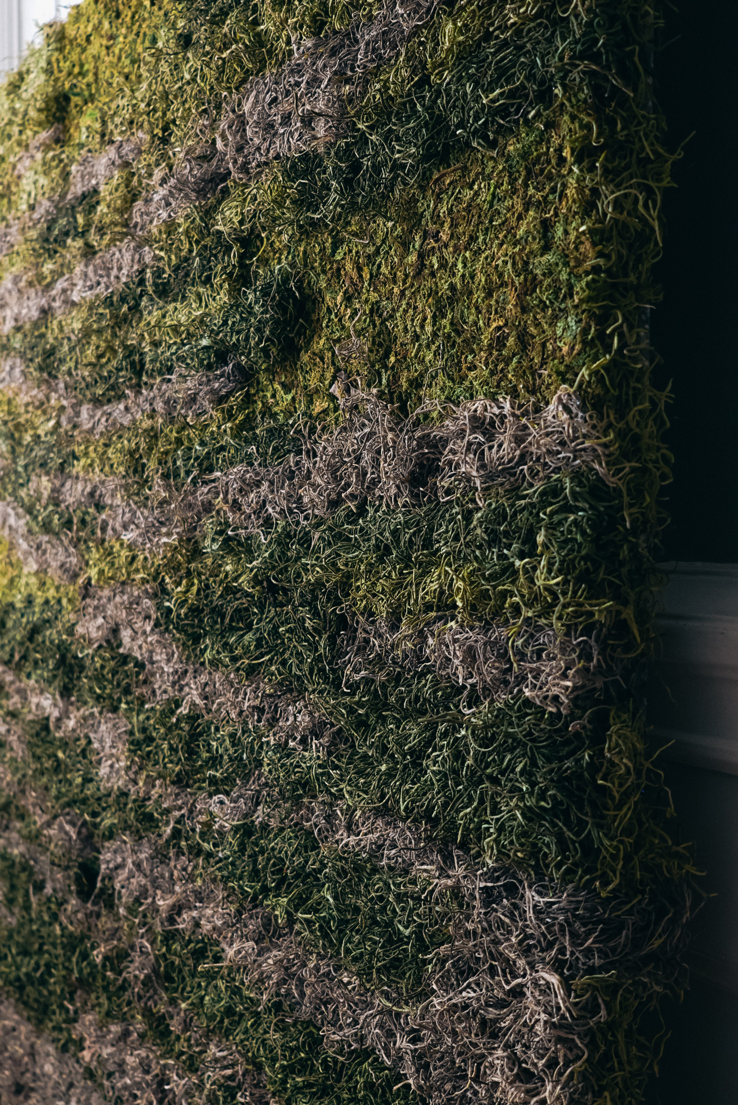 Anna & Moss magic, Content. Yana Bobrova | Artistic Photography