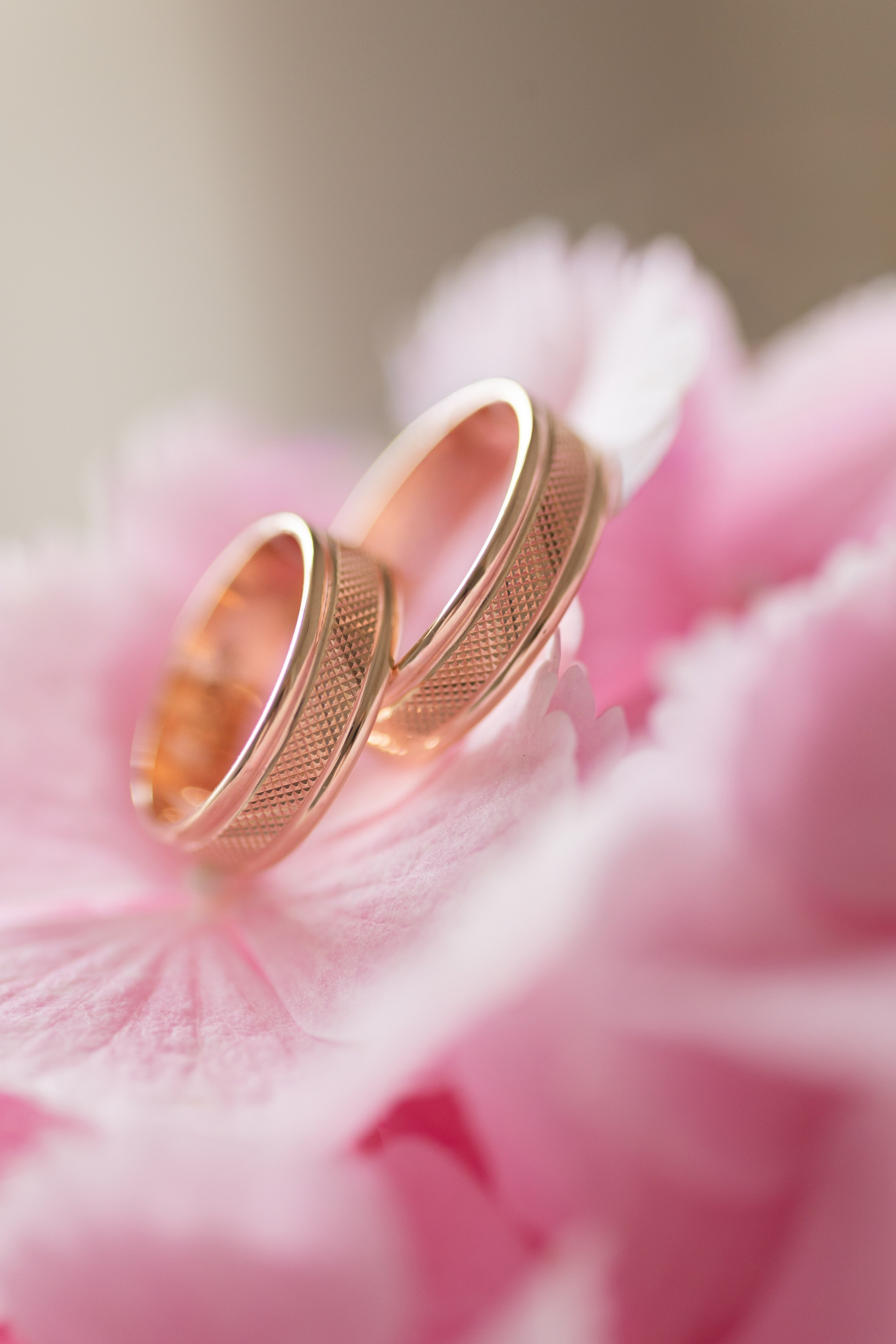 V & V. Portrait and Family Photographer in Netherlands