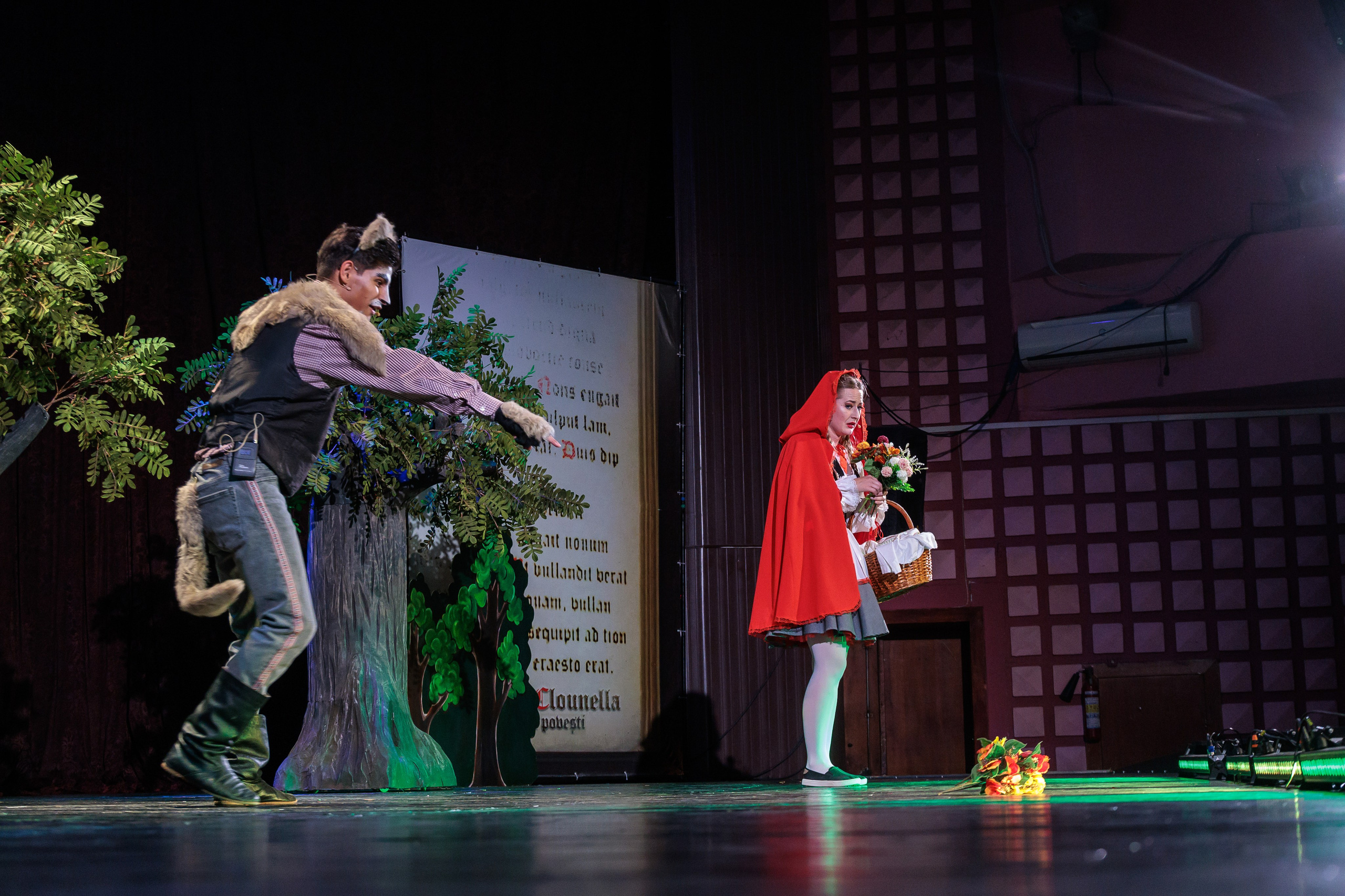 Clounella. Povestea Scufita rosie. ✔️ Фото Видео на свадьбы и крестины Молдова — Cinematic.md