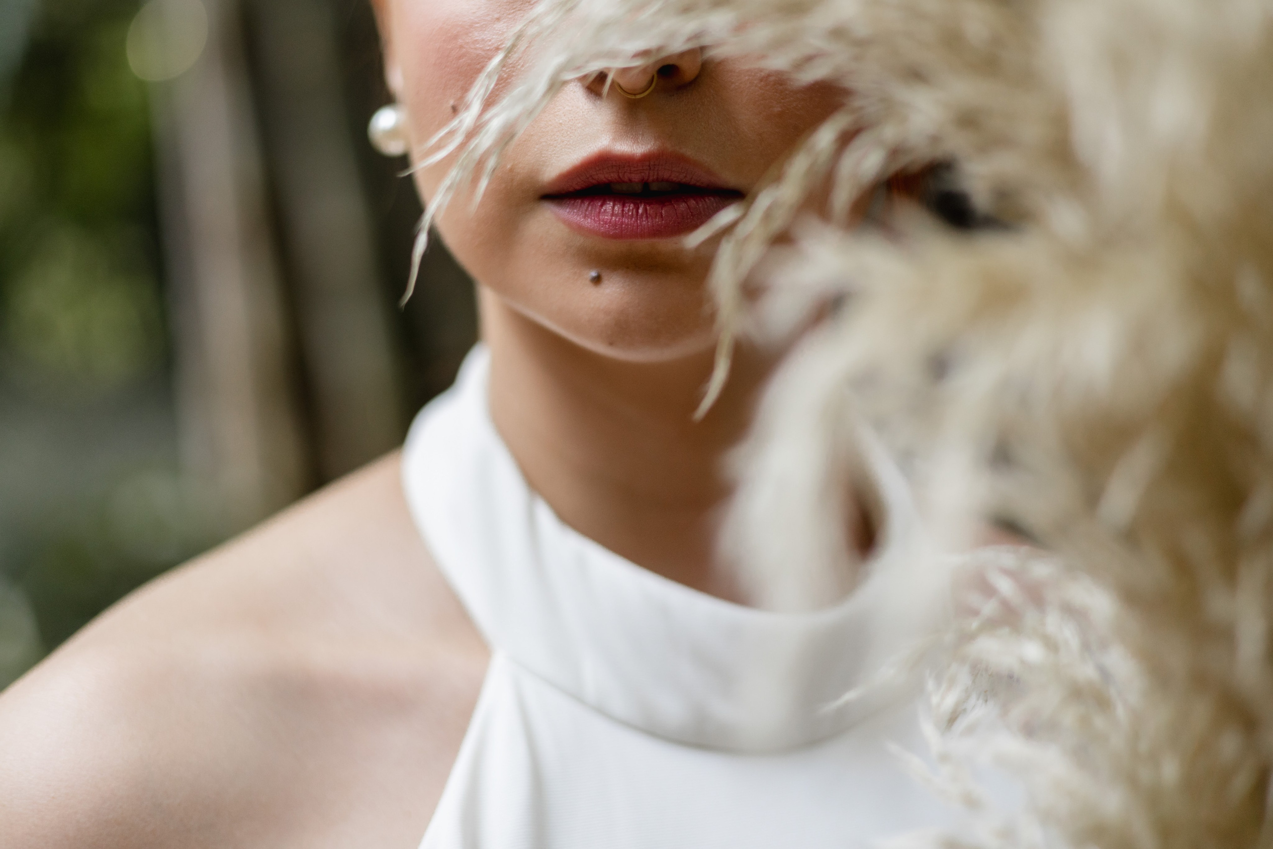 Editorial Dom Brunello