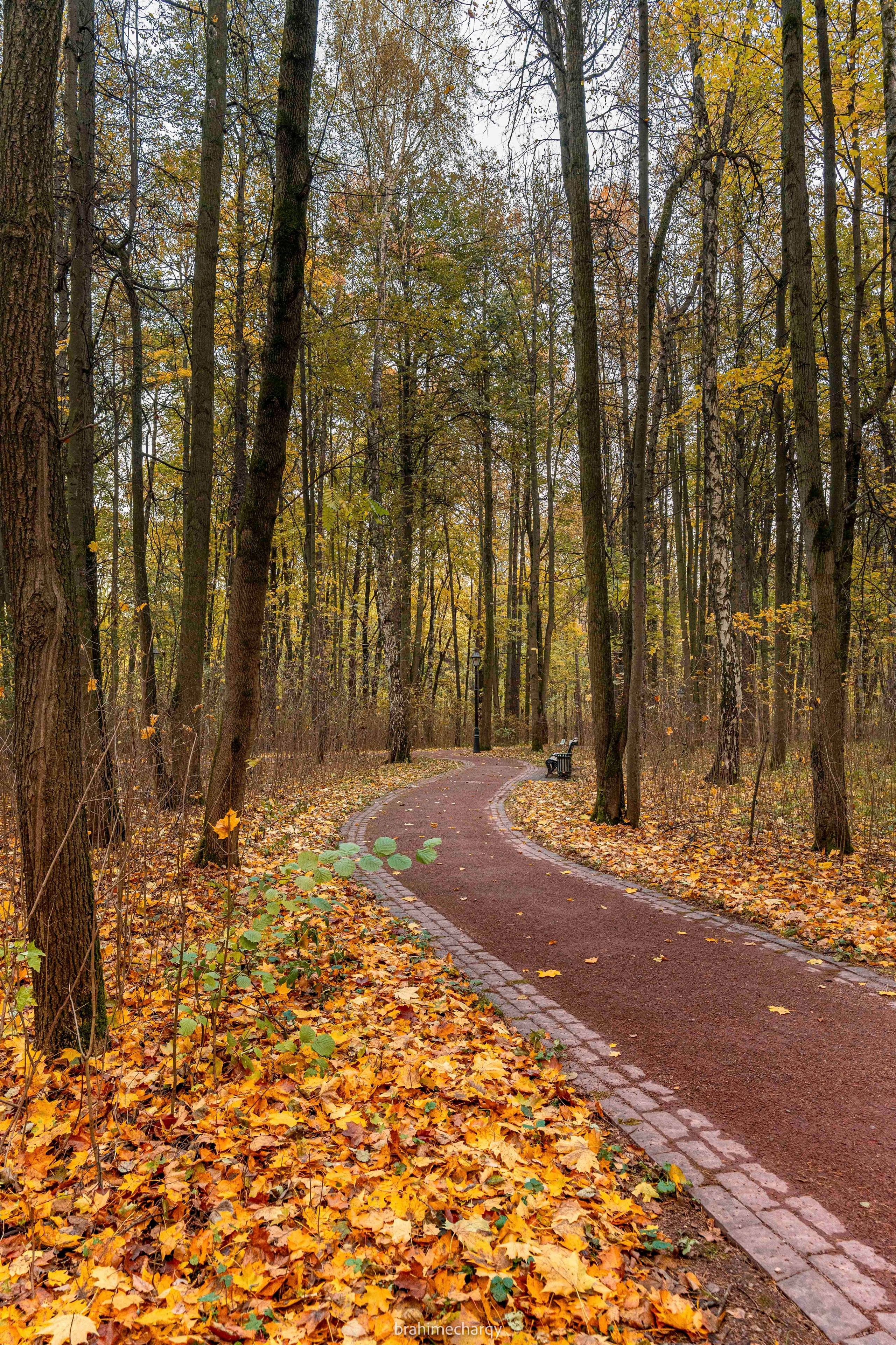 Фото. Брахим — фотограф