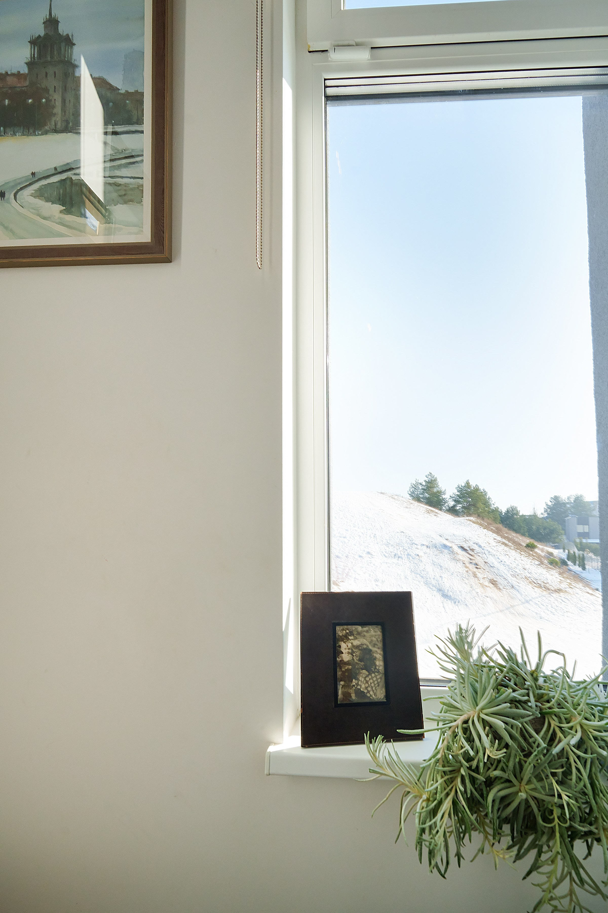 Ginetiškės, Pakonių g. Elina Sapiega fotografė Vilniuje