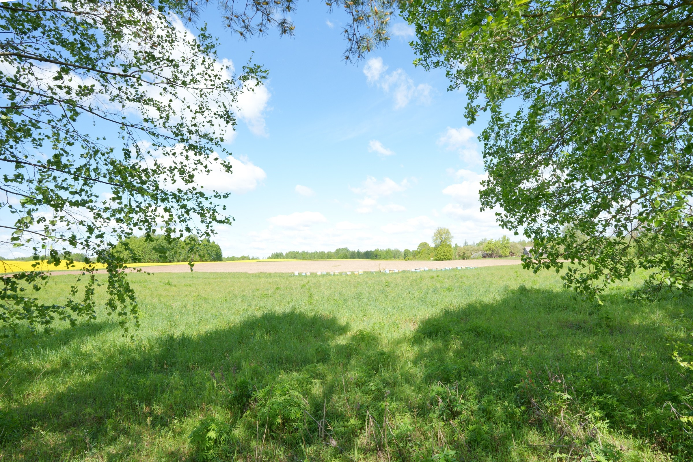 Kernavė. Elina Sapiega fotografė Vilniuje