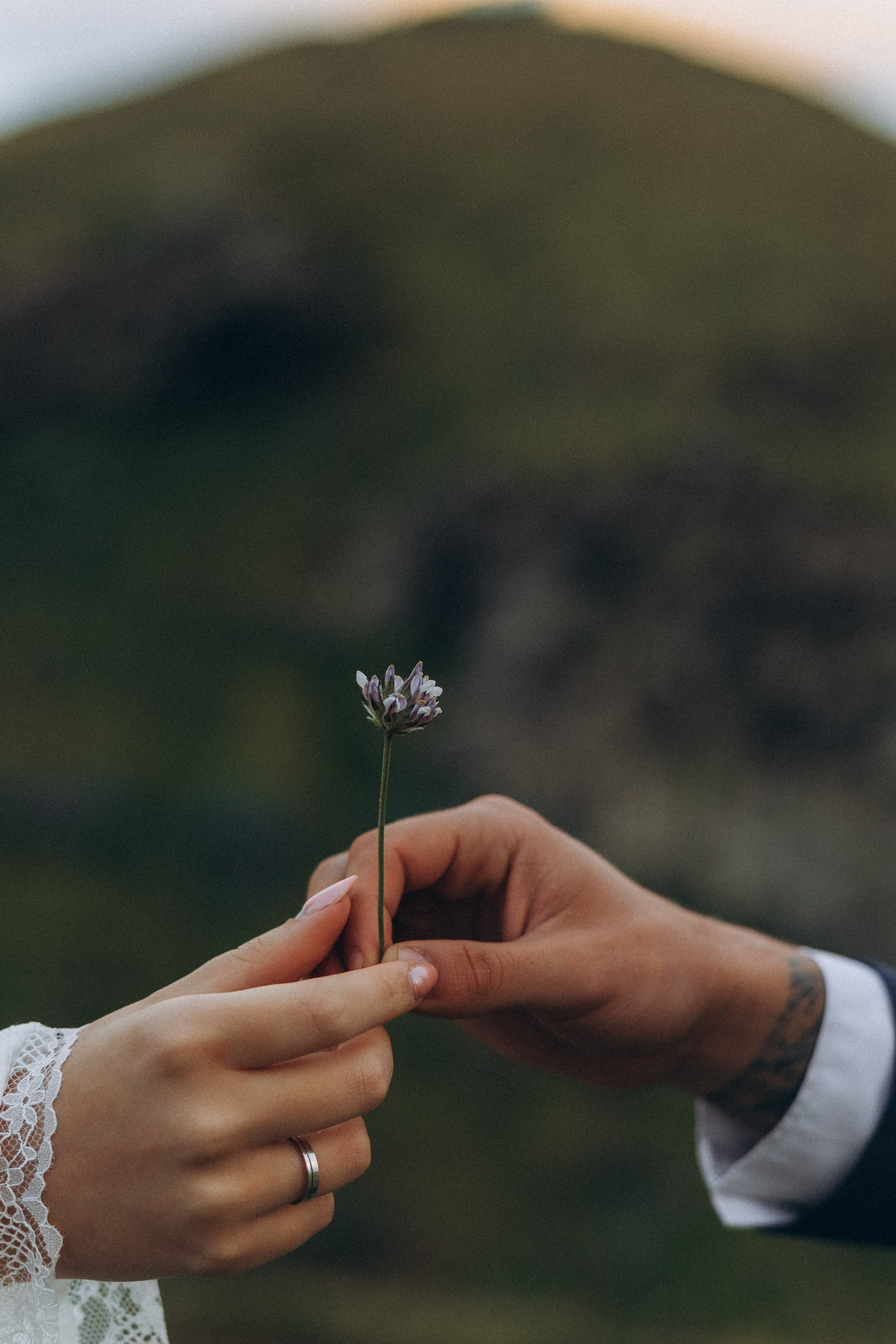Engagement photoshoot in Madeira 
