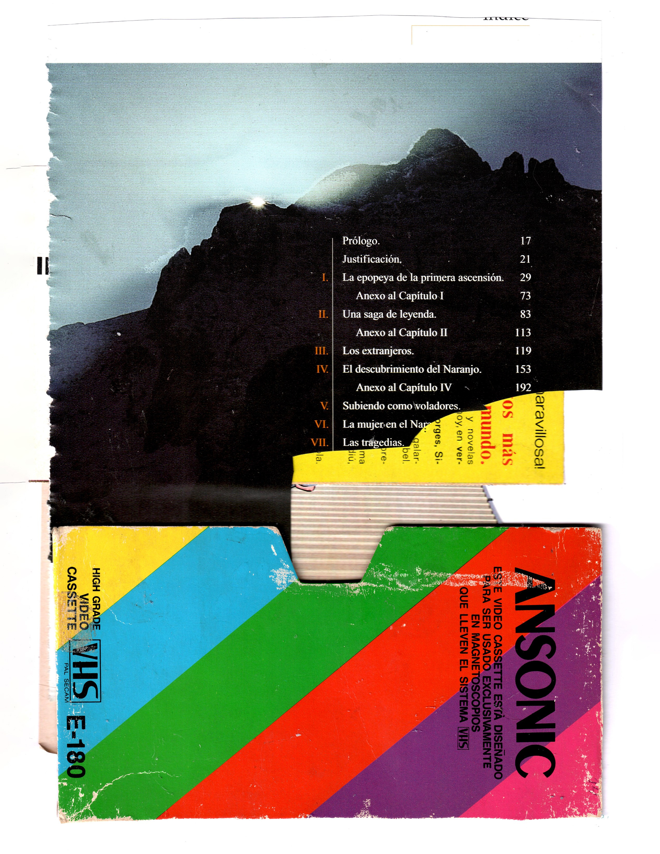 Рина Луковникова. Художник-коллажист