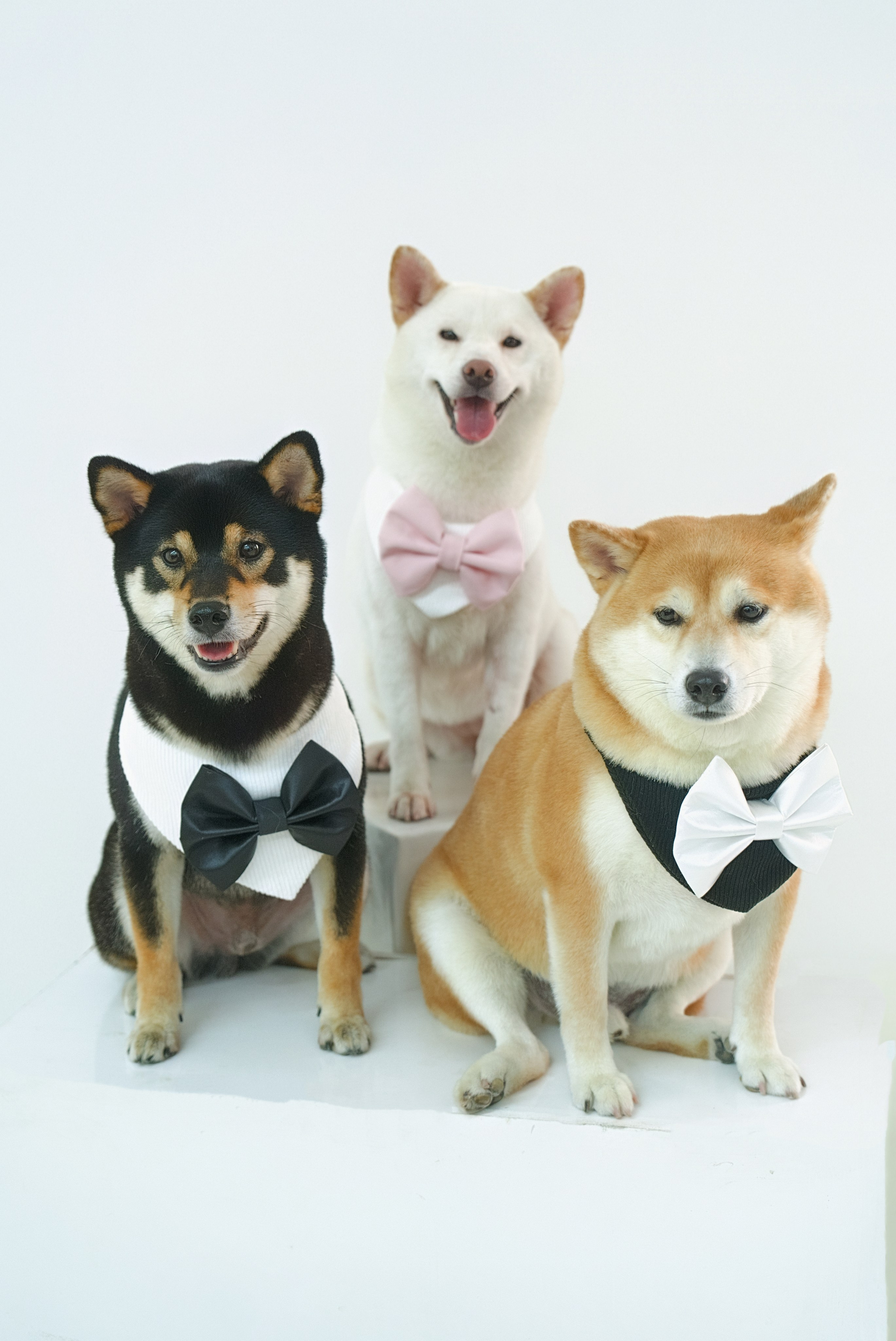 D & K. TheLoveMuseum