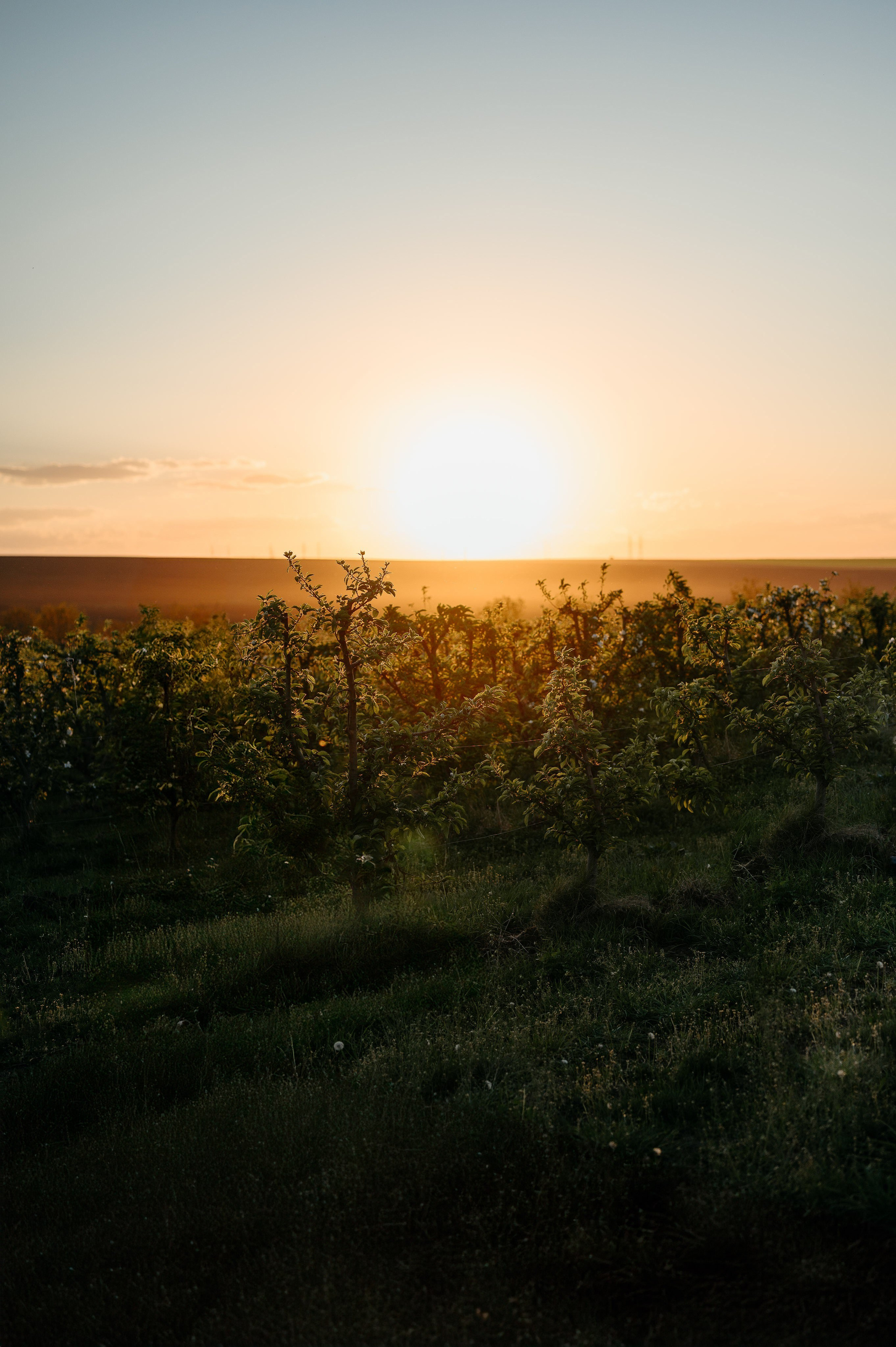 Styled shoot in Iasi. Valentin Melen - fotograf de nunta 🤍