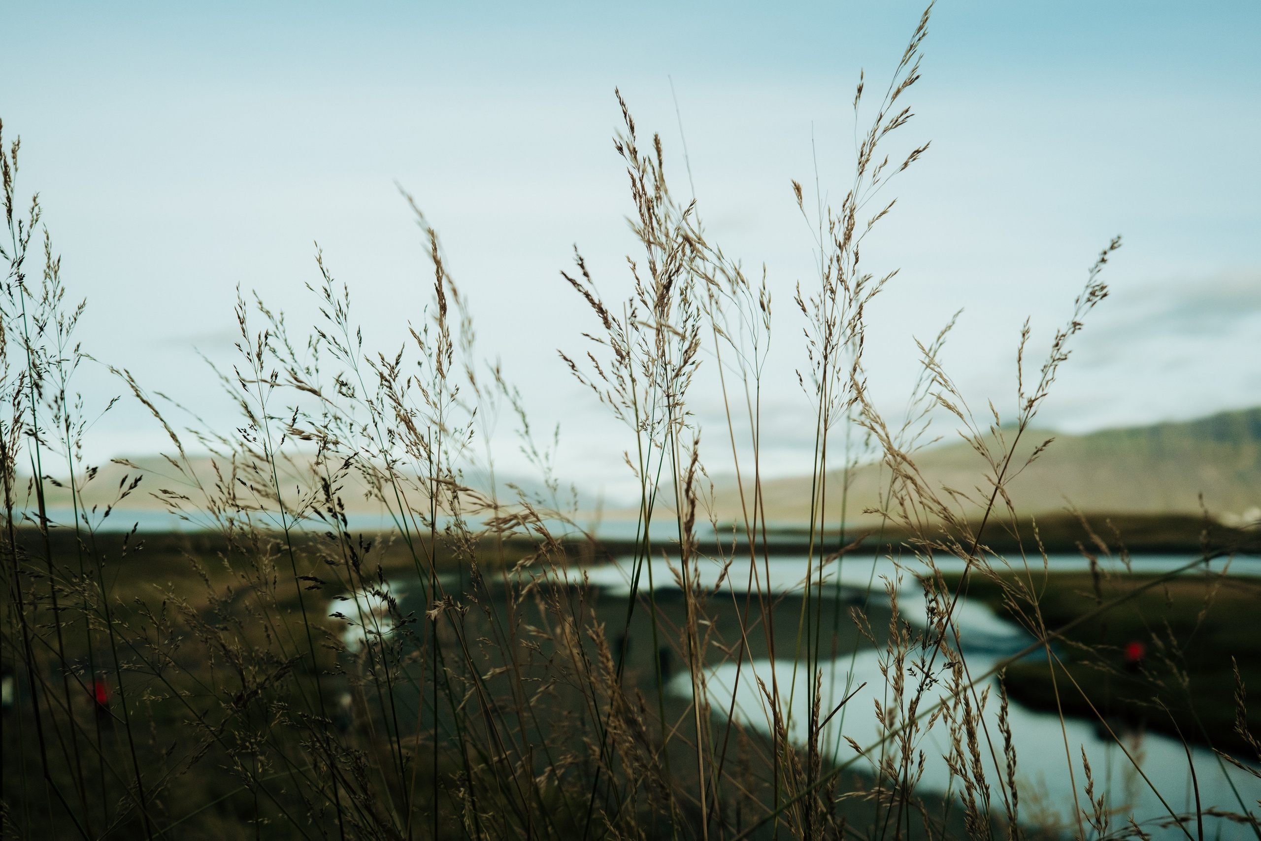 Iceland. Vita | Photographer