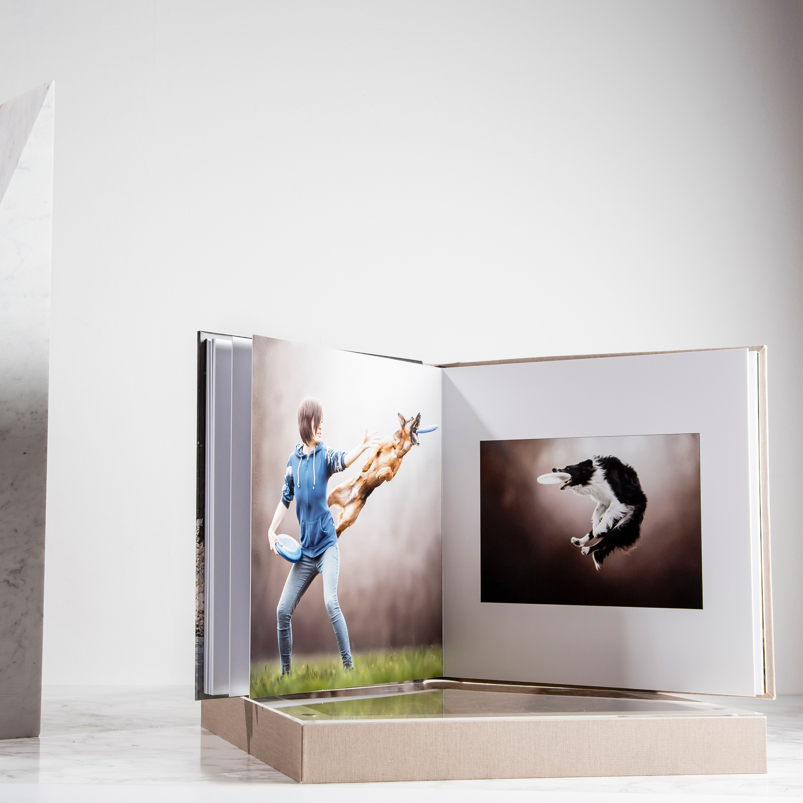 Gobook. Fotografo di matrimonio ed eventi ad ariano irpino