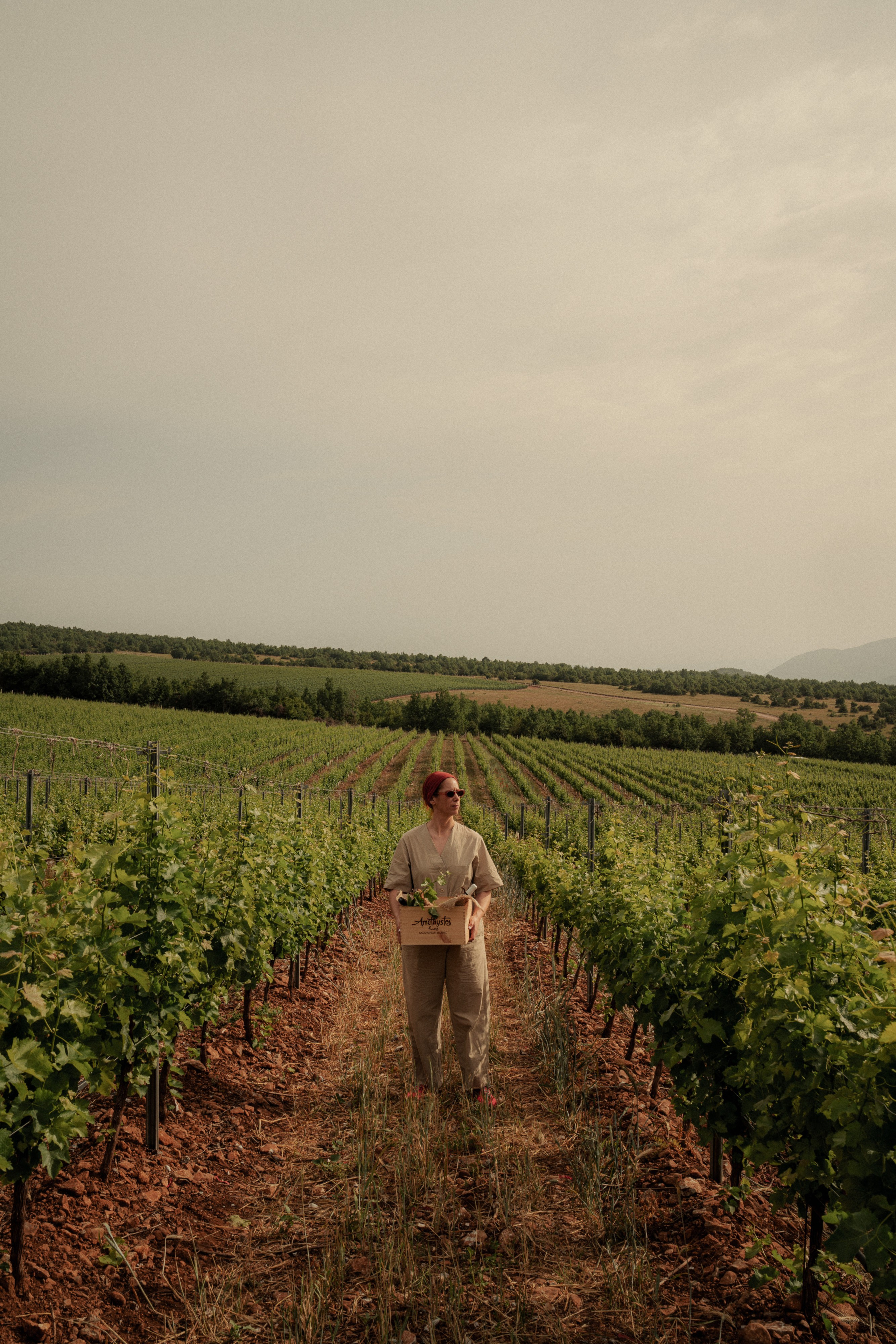 Estates Costa Lazaridi