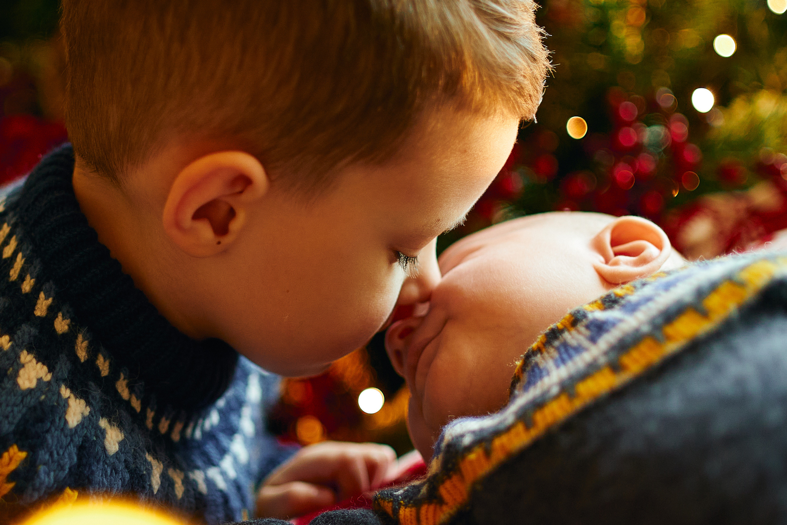 FIRST CHRISTMAS. Professional garden design and photography services in London