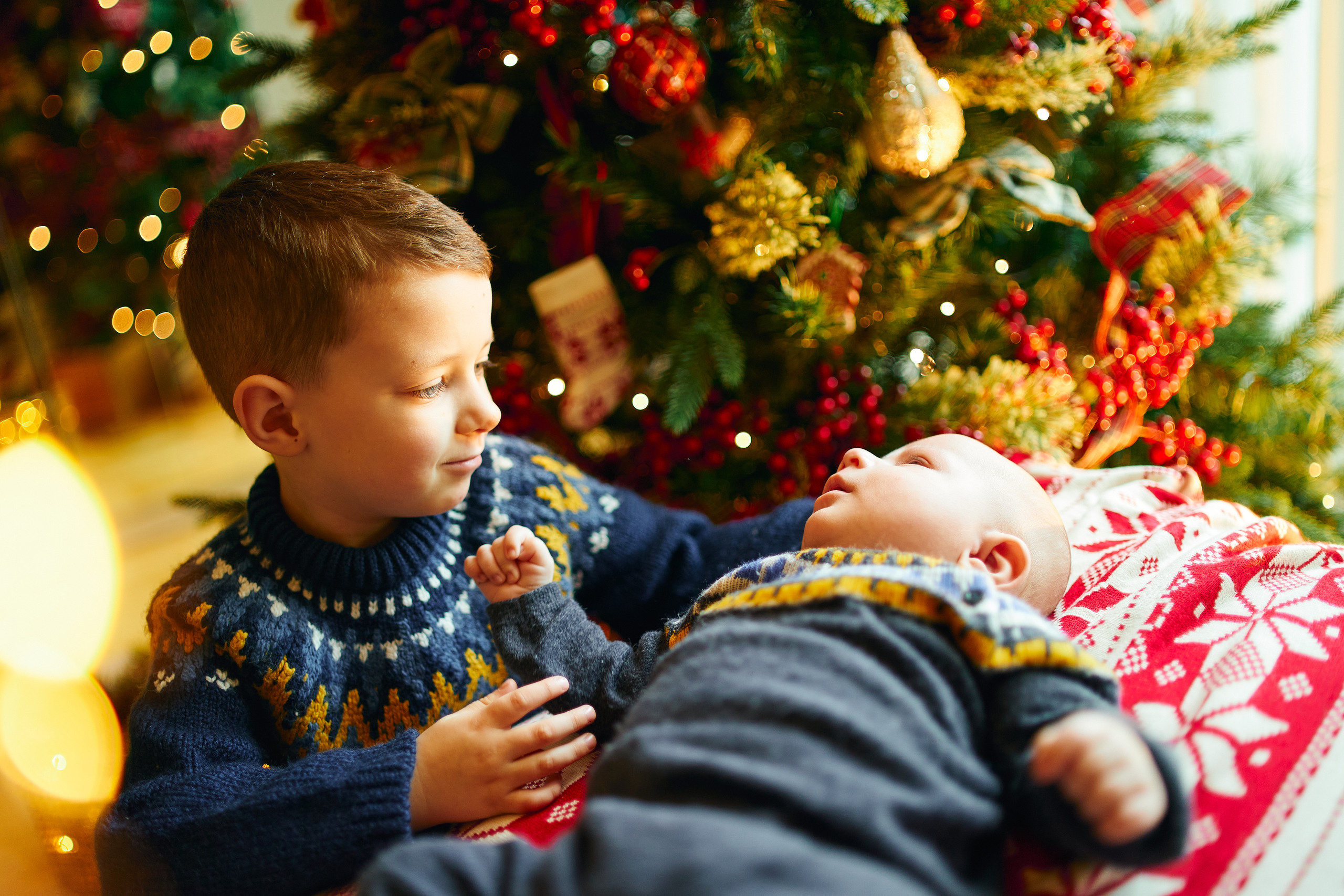 FIRST CHRISTMAS. Professional garden design and photography services in London