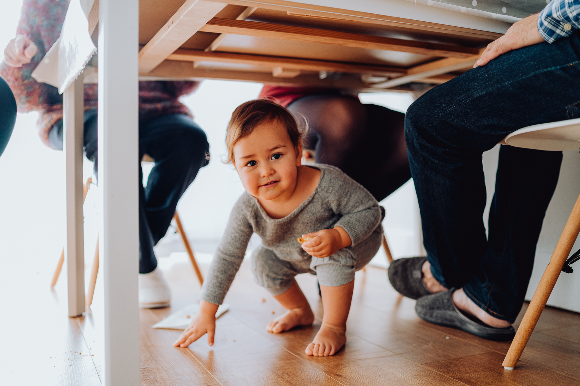 Christmas Time. Professional garden design and photography services in London