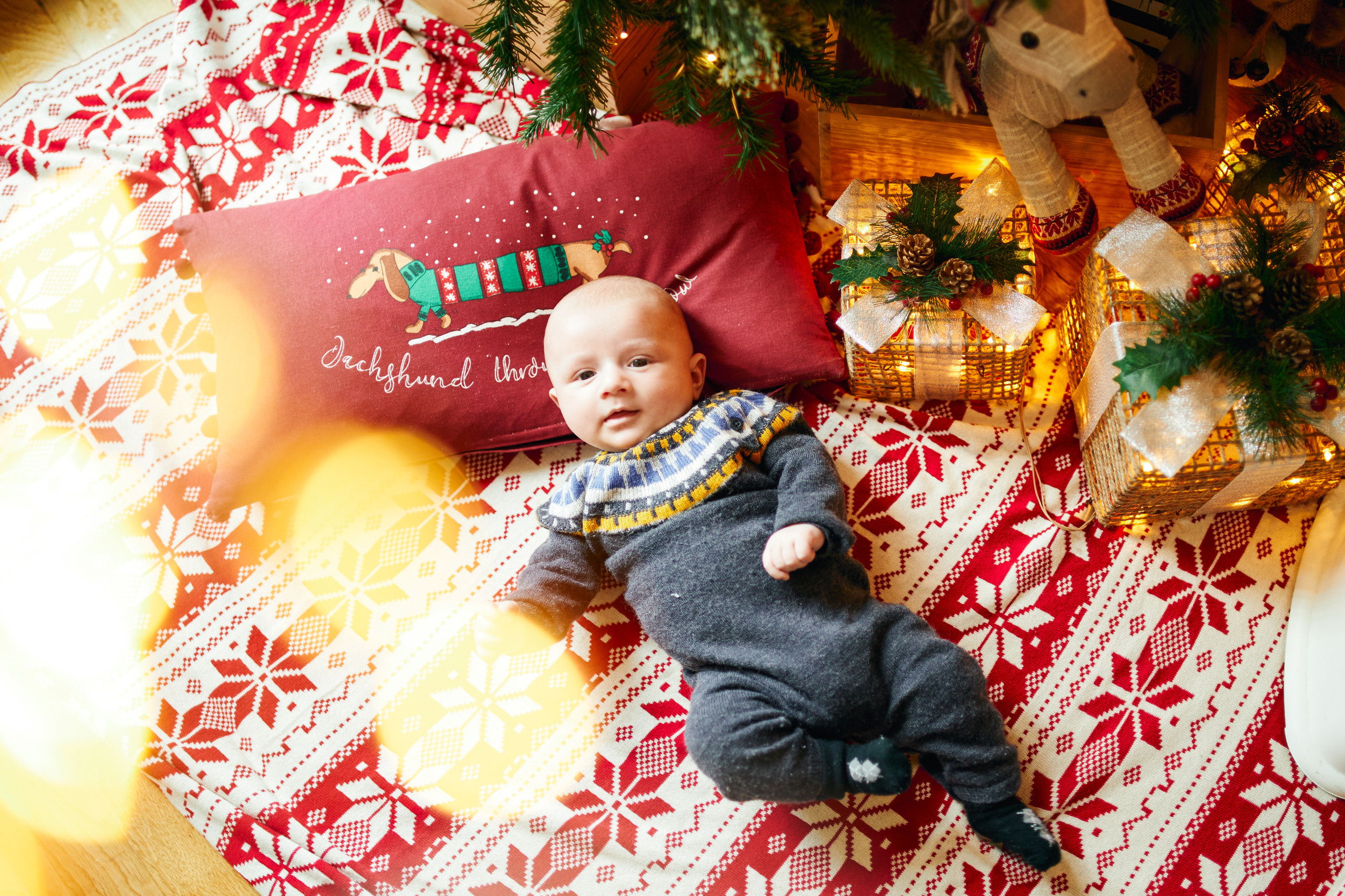 FIRST CHRISTMAS. Professional garden design and photography services in London