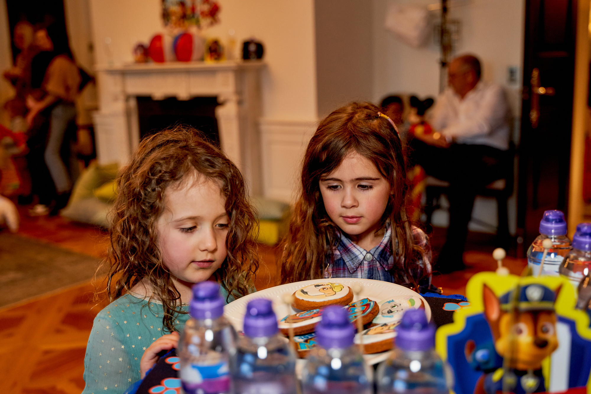 BD Party. Professional garden design and photography services in London