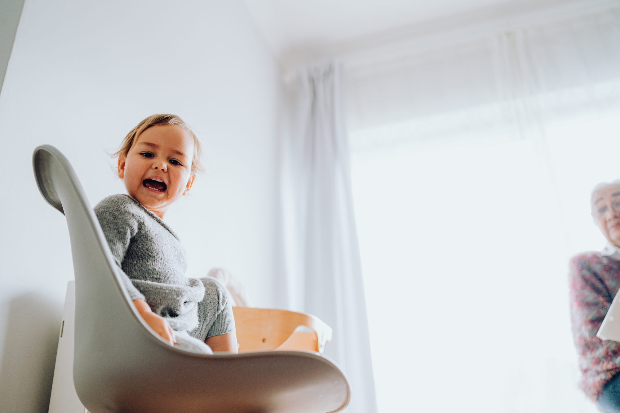 Christmas Time. Professional garden design and photography services in London