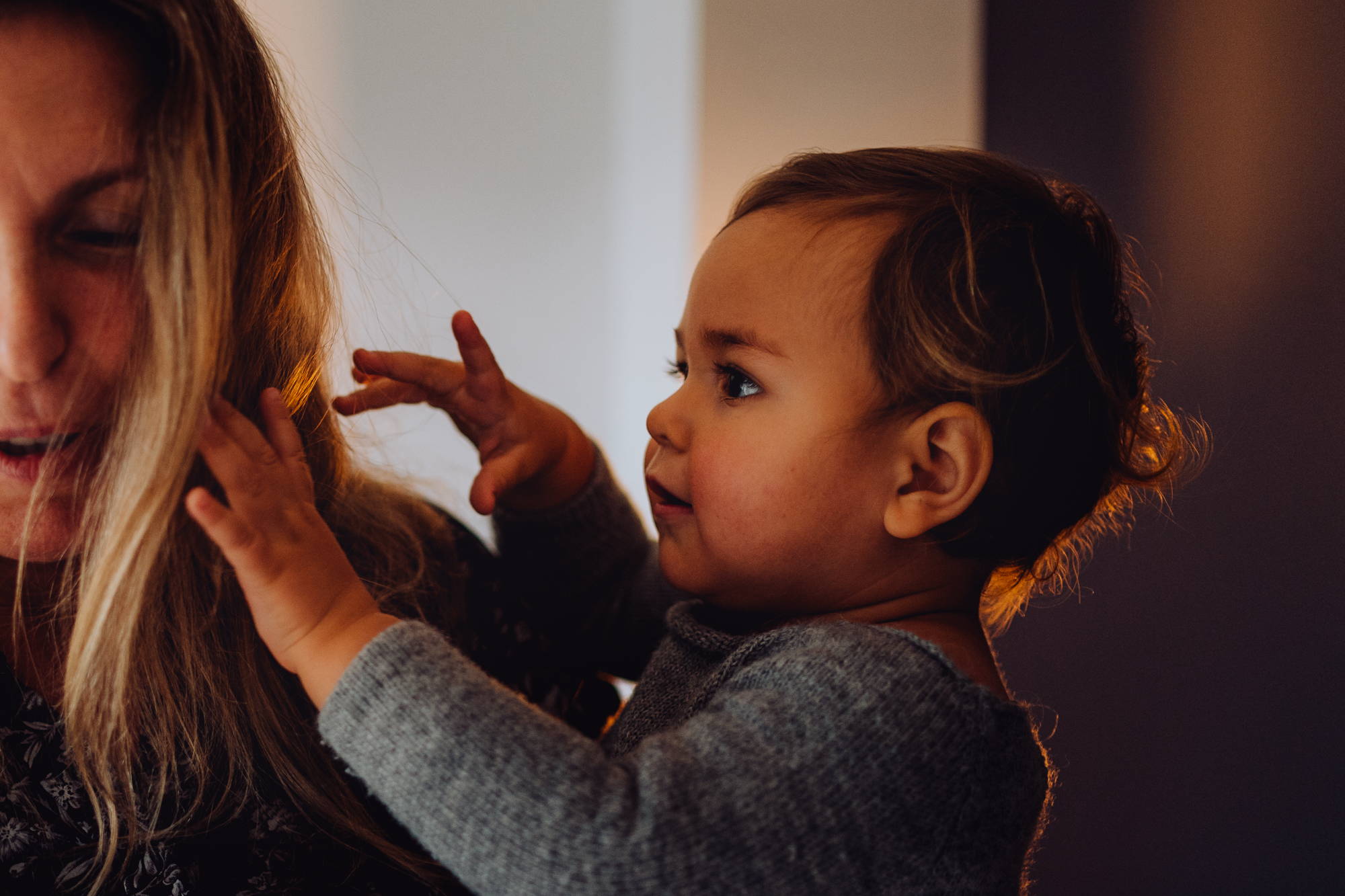 Christmas Time. Professional garden design and photography services in London