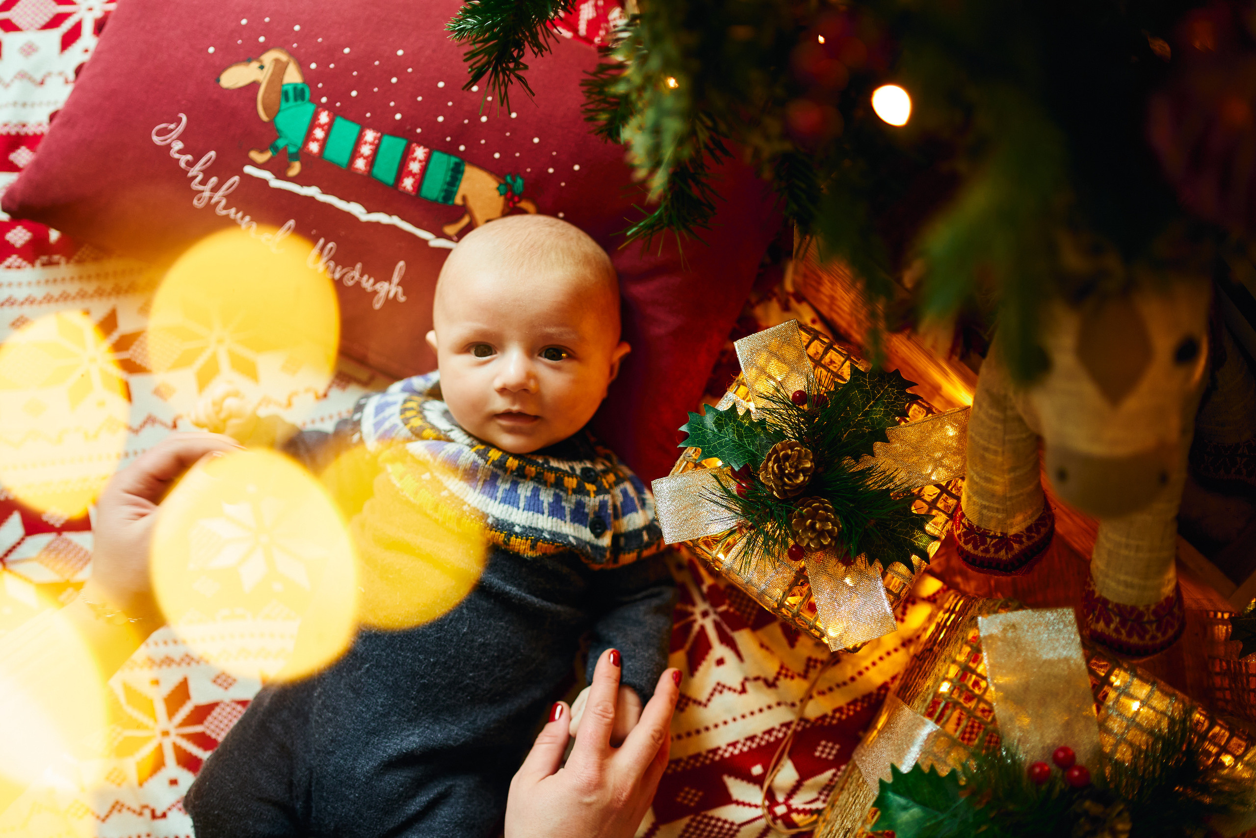 FIRST CHRISTMAS. Professional garden design and photography services in London