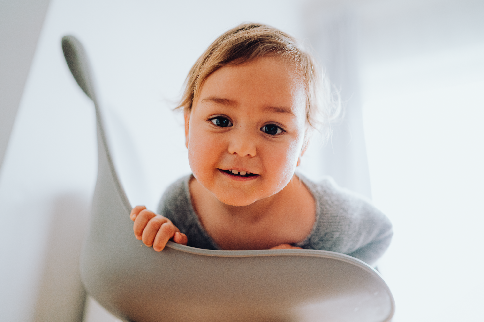 Christmas Time. Professional garden design and photography services in London