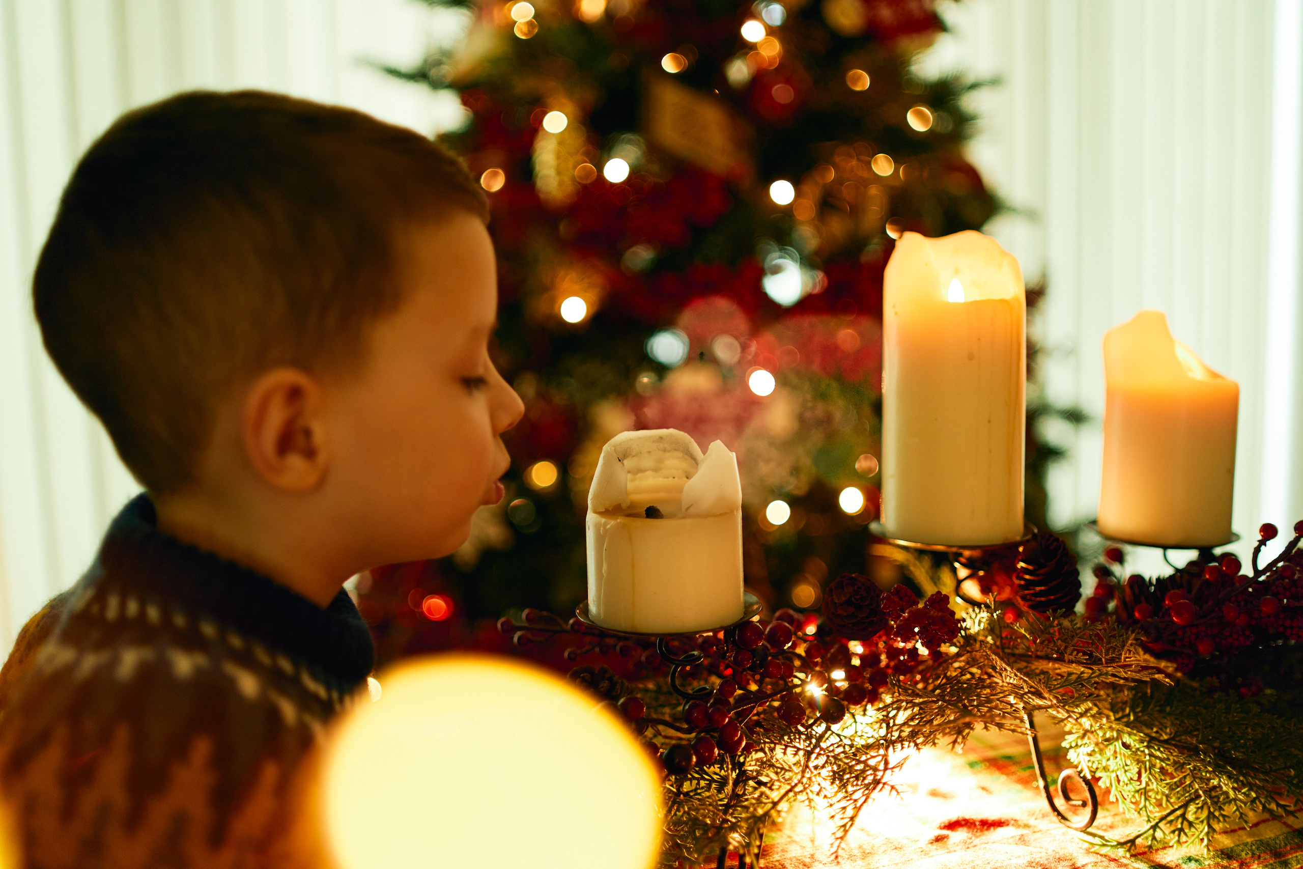 FIRST CHRISTMAS. Professional garden design and photography services in London