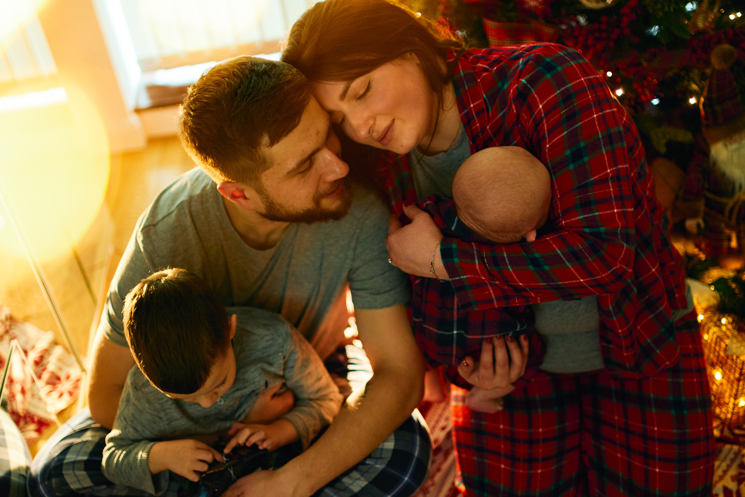 FIRST CHRISTMAS. Professional garden design and photography services in London