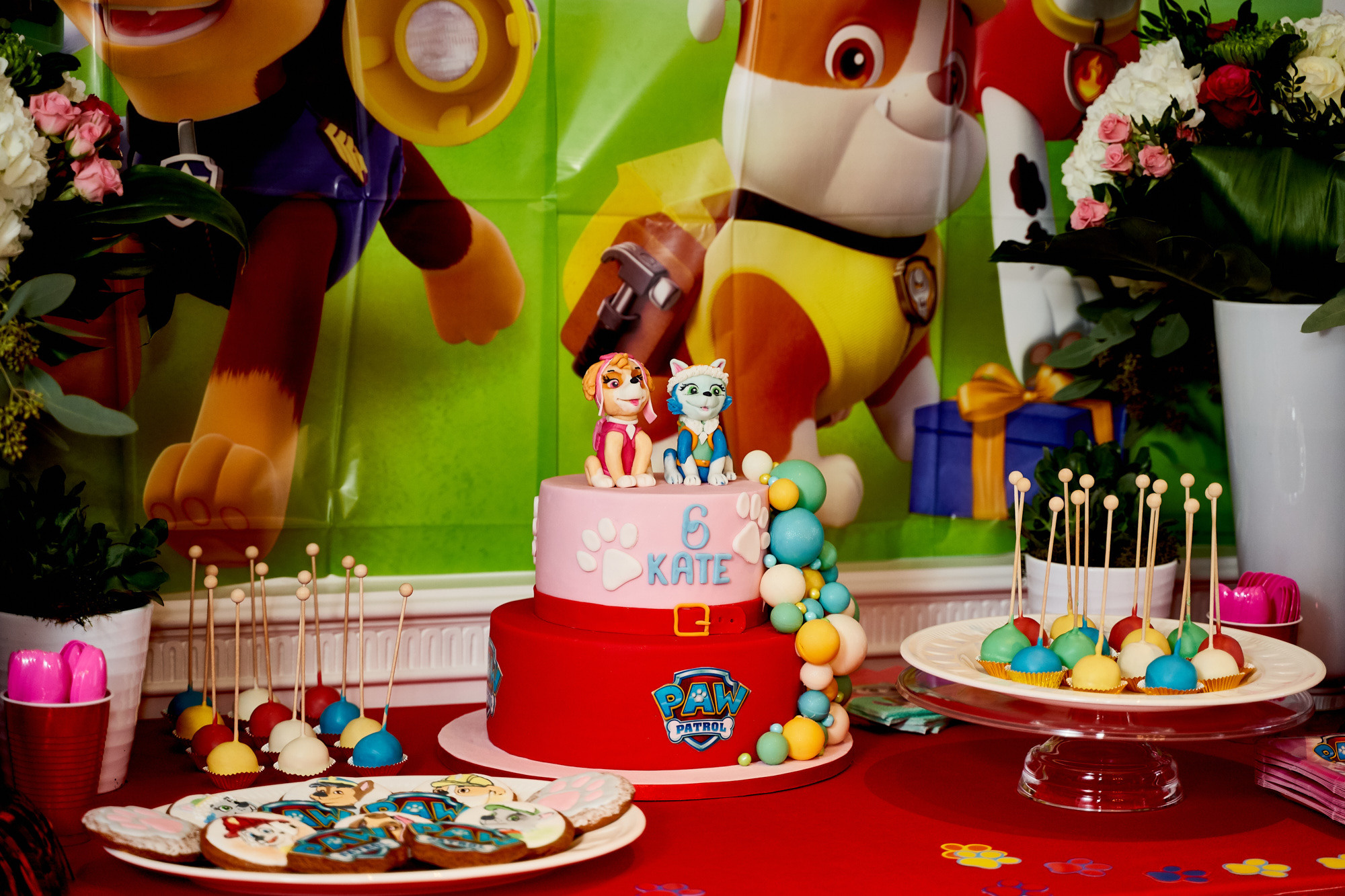 BD Party. Professional garden design and photography services in London