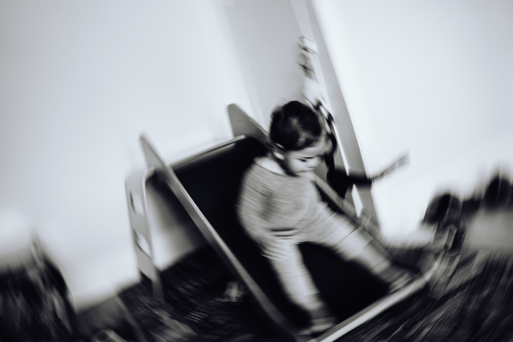 Christmas Time. Professional garden design and photography services in London