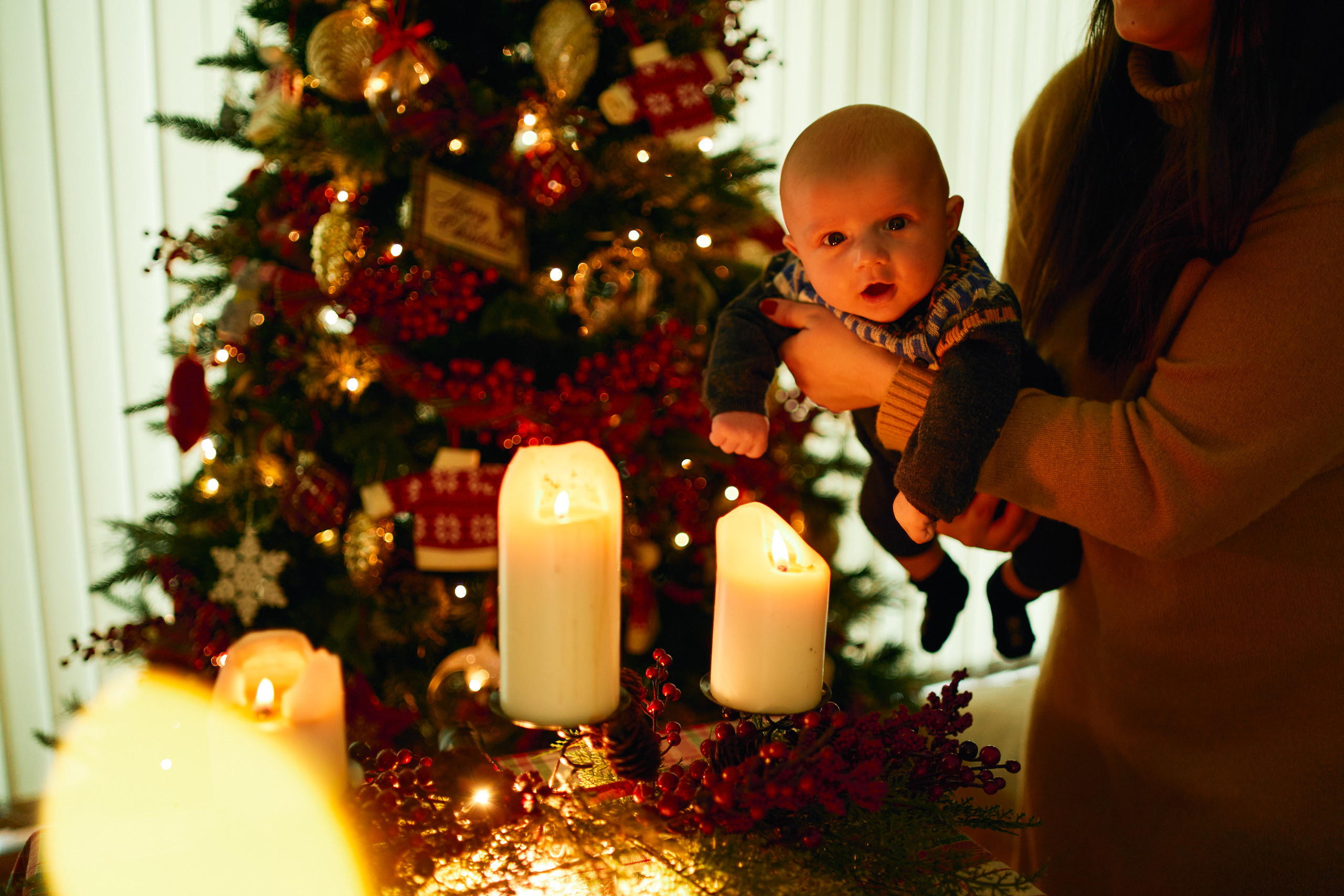 FIRST CHRISTMAS. Professional garden design and photography services in London