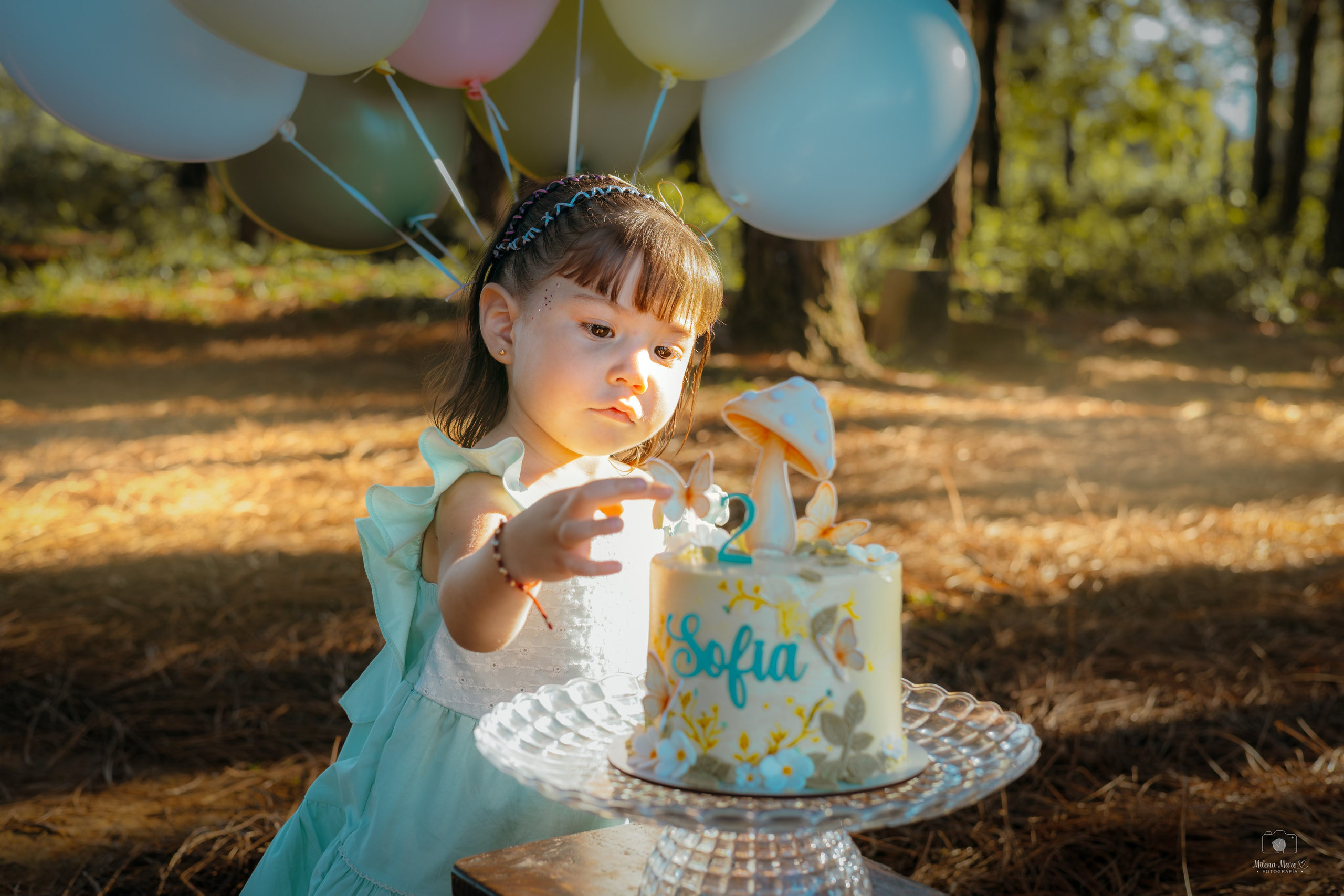 SESIÓN DE FOTOS DOS AÑOS. Milena Maro Fotografía: estudio profesional en Acacías, Meta. Retrato familiar, infantil, maternas, eventos y empresas