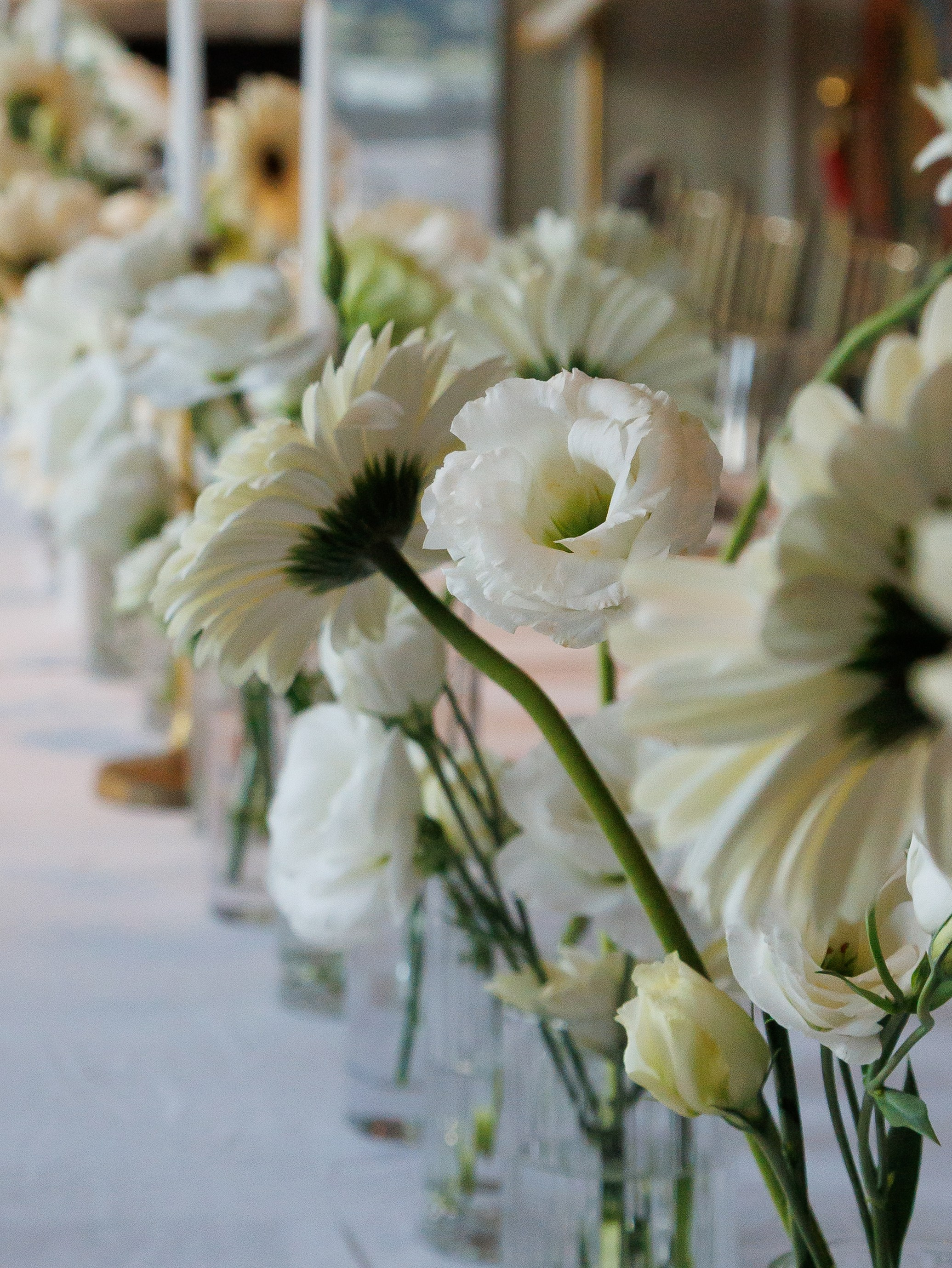 Сборы+прогулка+церемония+фуршет. Wedding photographer Batumi Tbilisi Georgia