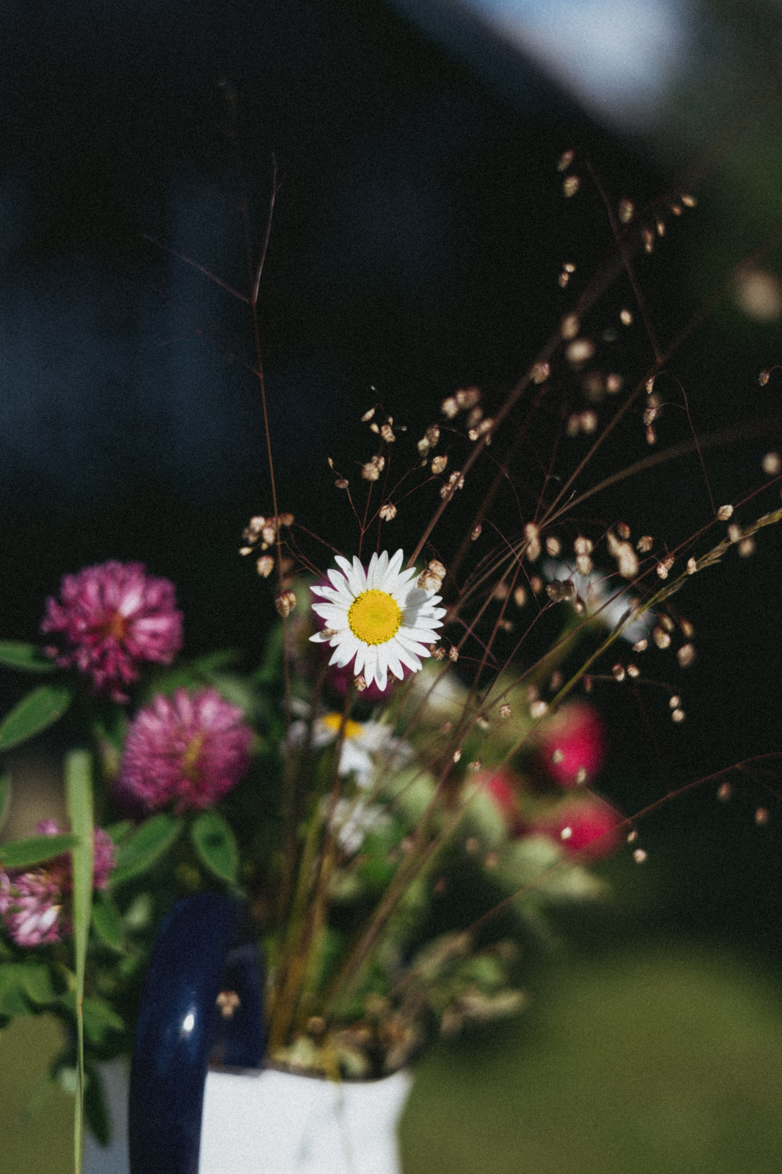 Vasara sode. Портретный фотограф Александра Самозванова